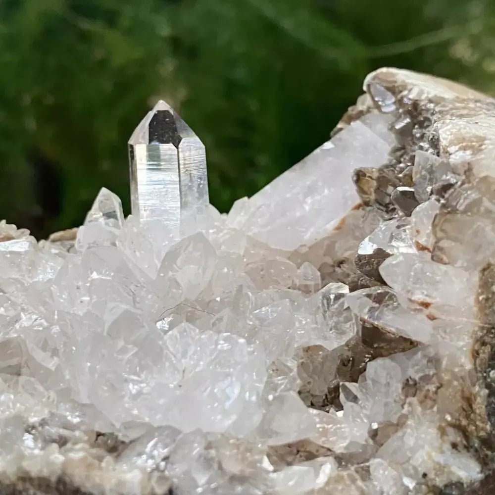 All things Natural Castle Rocks Cornwall