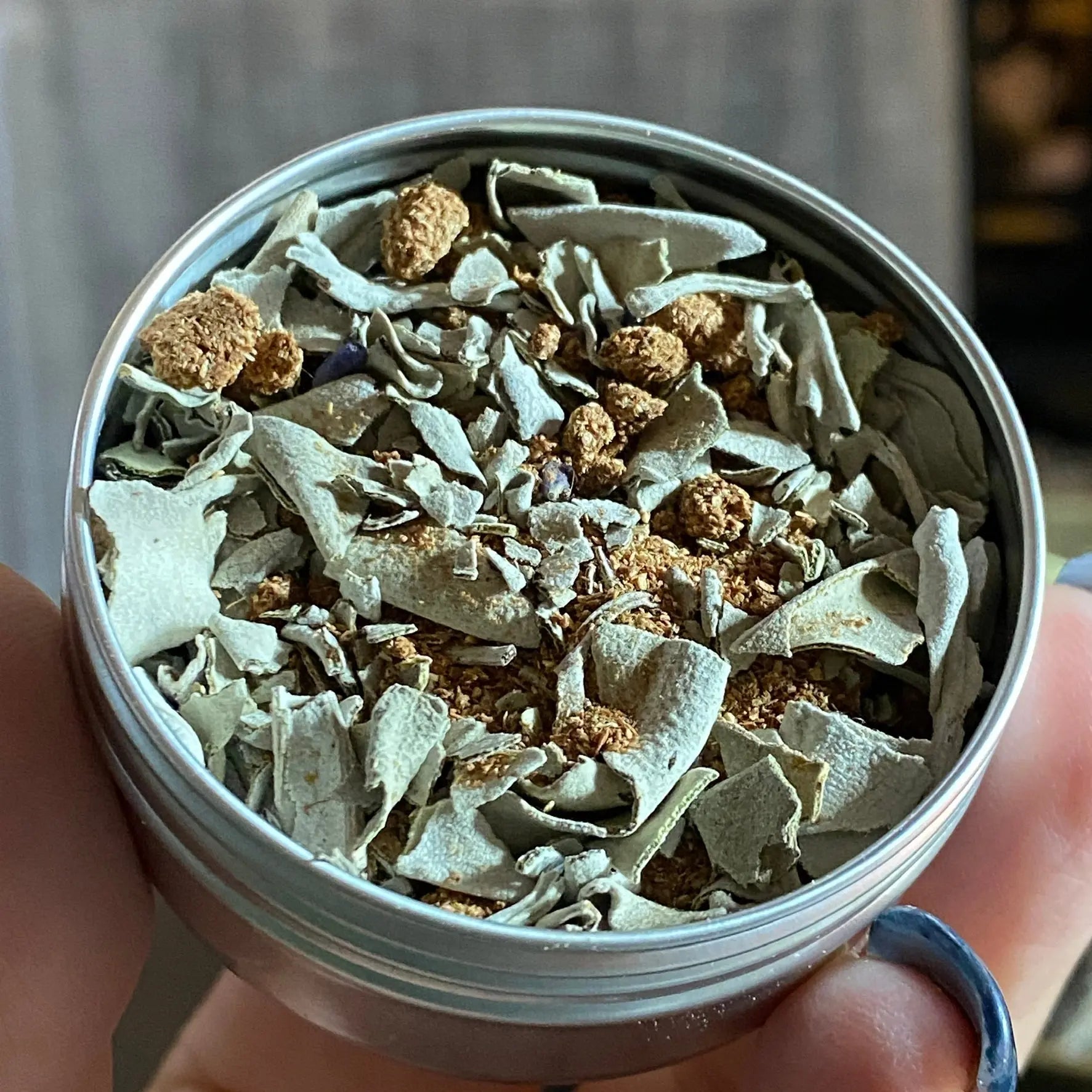 Smudge In A Tin Castle Rocks Cornwall