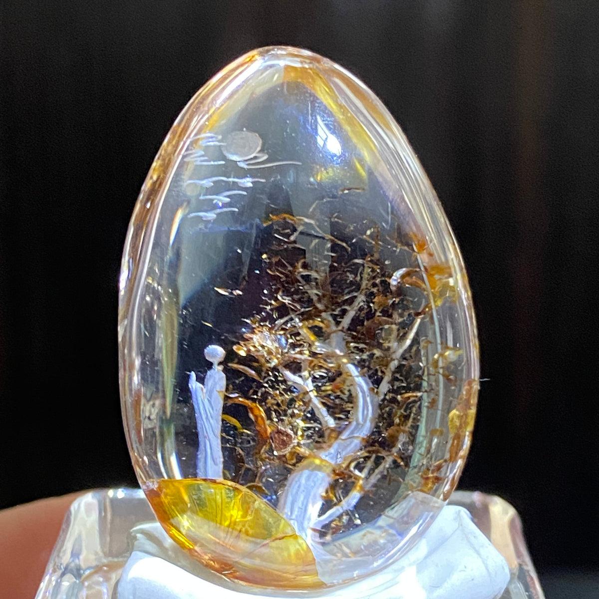Moonlit Golden Grove — AAA Diamond-Etched Clear Landscape Quartz