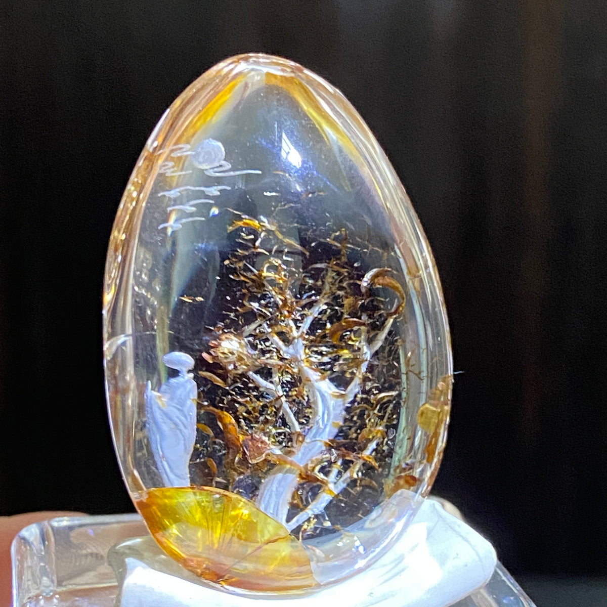 Moonlit Golden Grove — AAA Diamond-Etched Clear Landscape Quartz