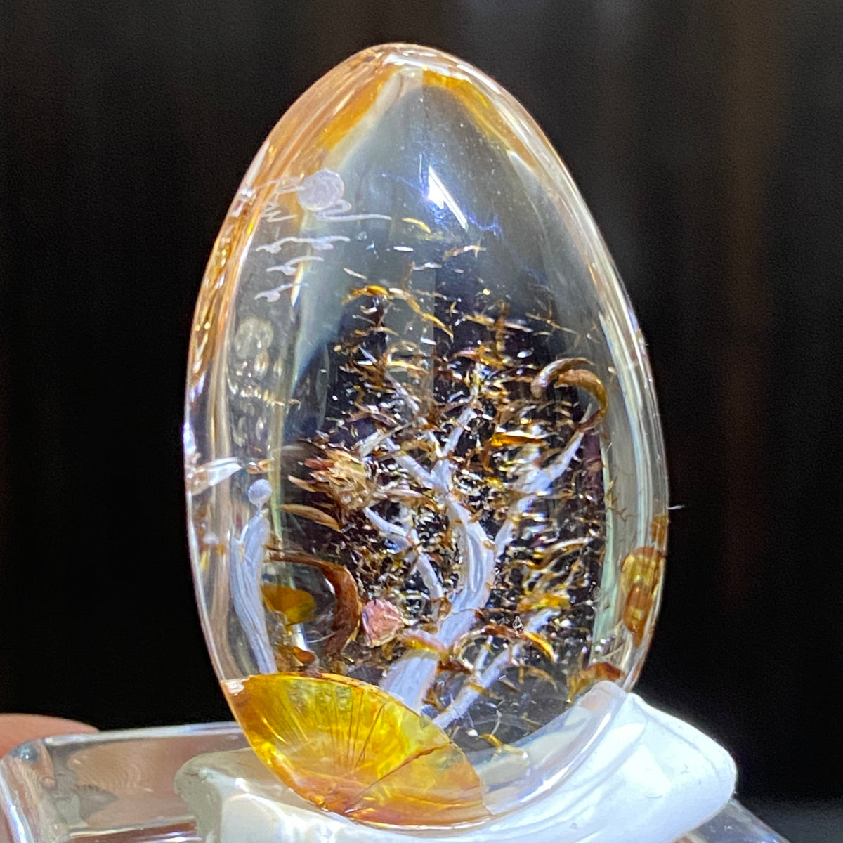 Moonlit Golden Grove — AAA Diamond-Etched Clear Landscape Quartz
