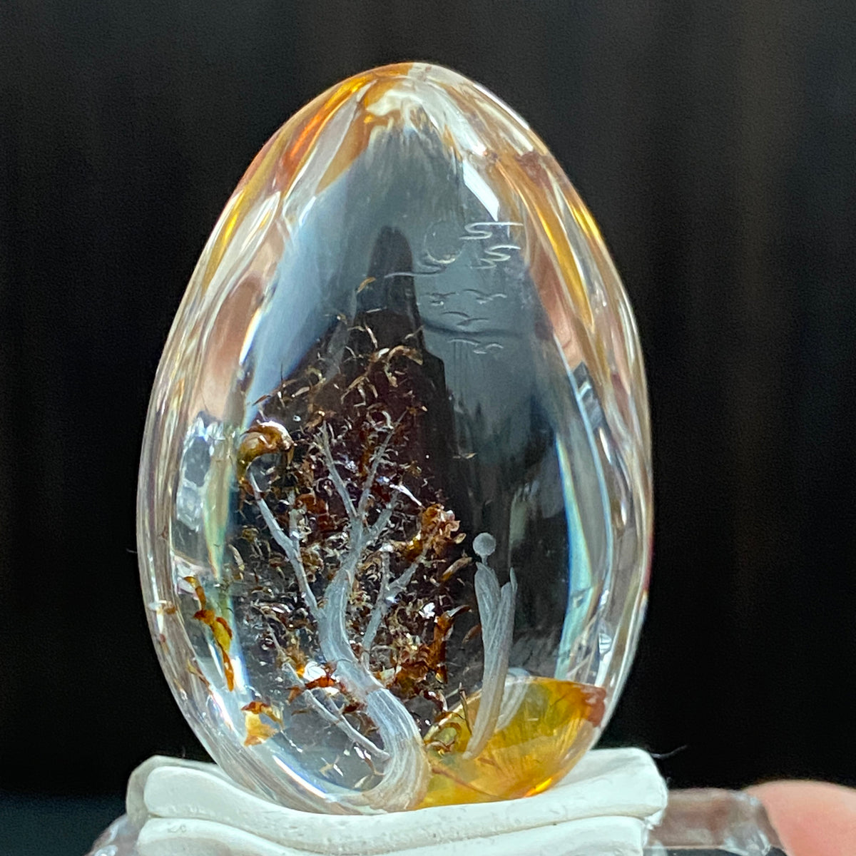 Moonlit Golden Grove — AAA Diamond-Etched Clear Landscape Quartz