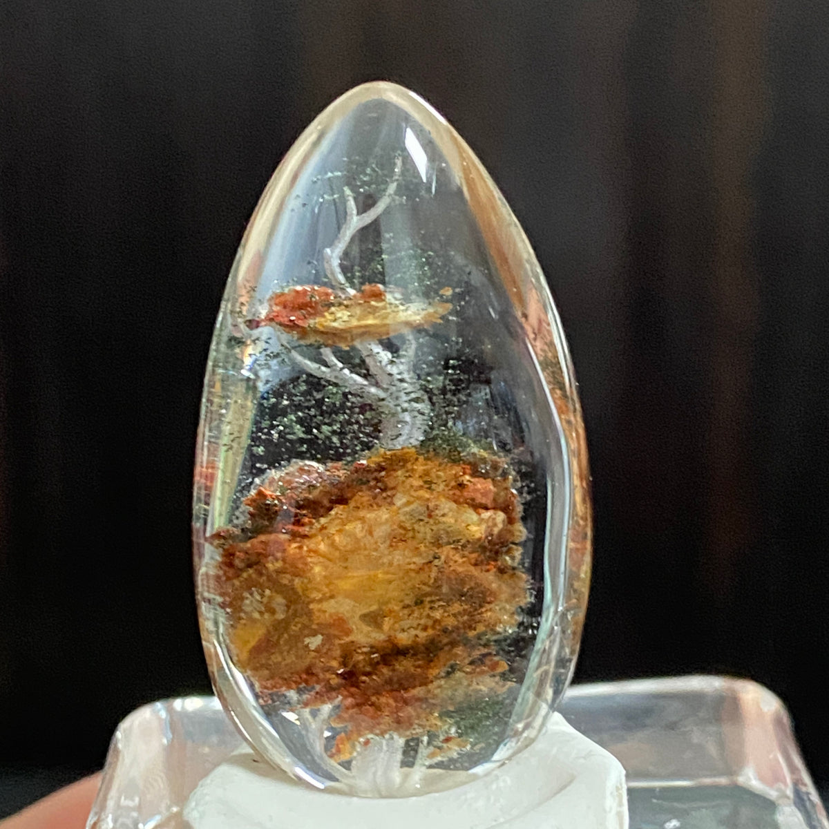 The Celestial Tree of Life — AAA Diamond-Etched Clear Landscape Quartz