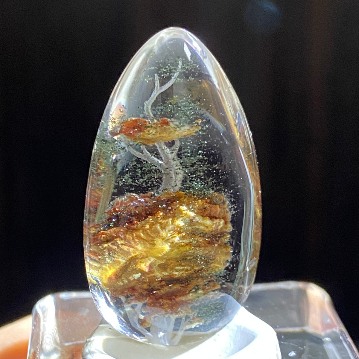The Celestial Tree of Life — AAA Diamond-Etched Clear Landscape Quartz