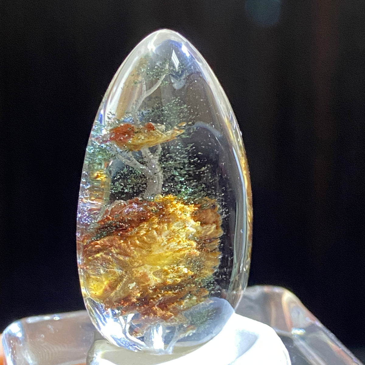 The Celestial Tree of Life — AAA Diamond-Etched Clear Landscape Quartz