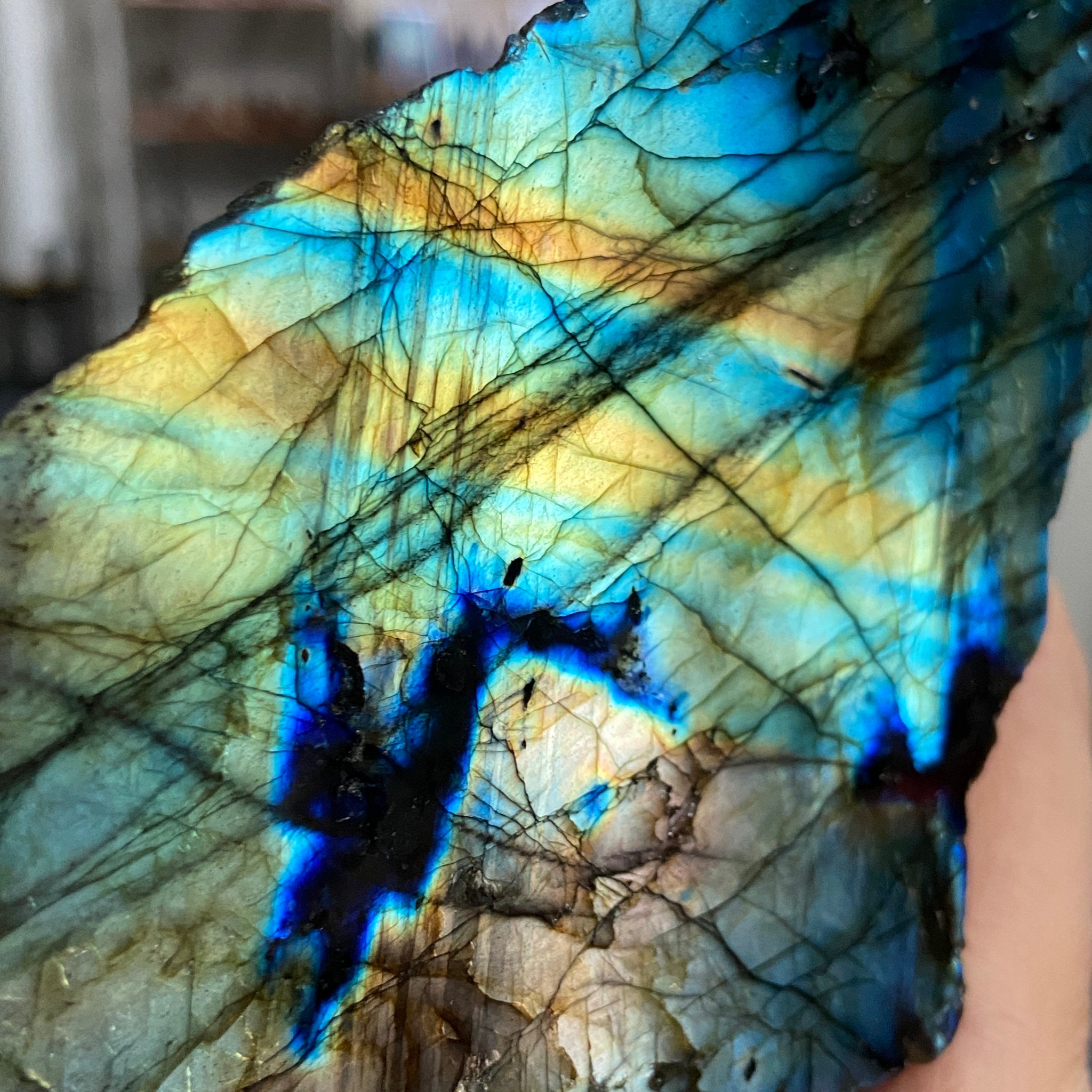 Madagascan 'Papillon' Labradorite – New Beginnings & Intuition