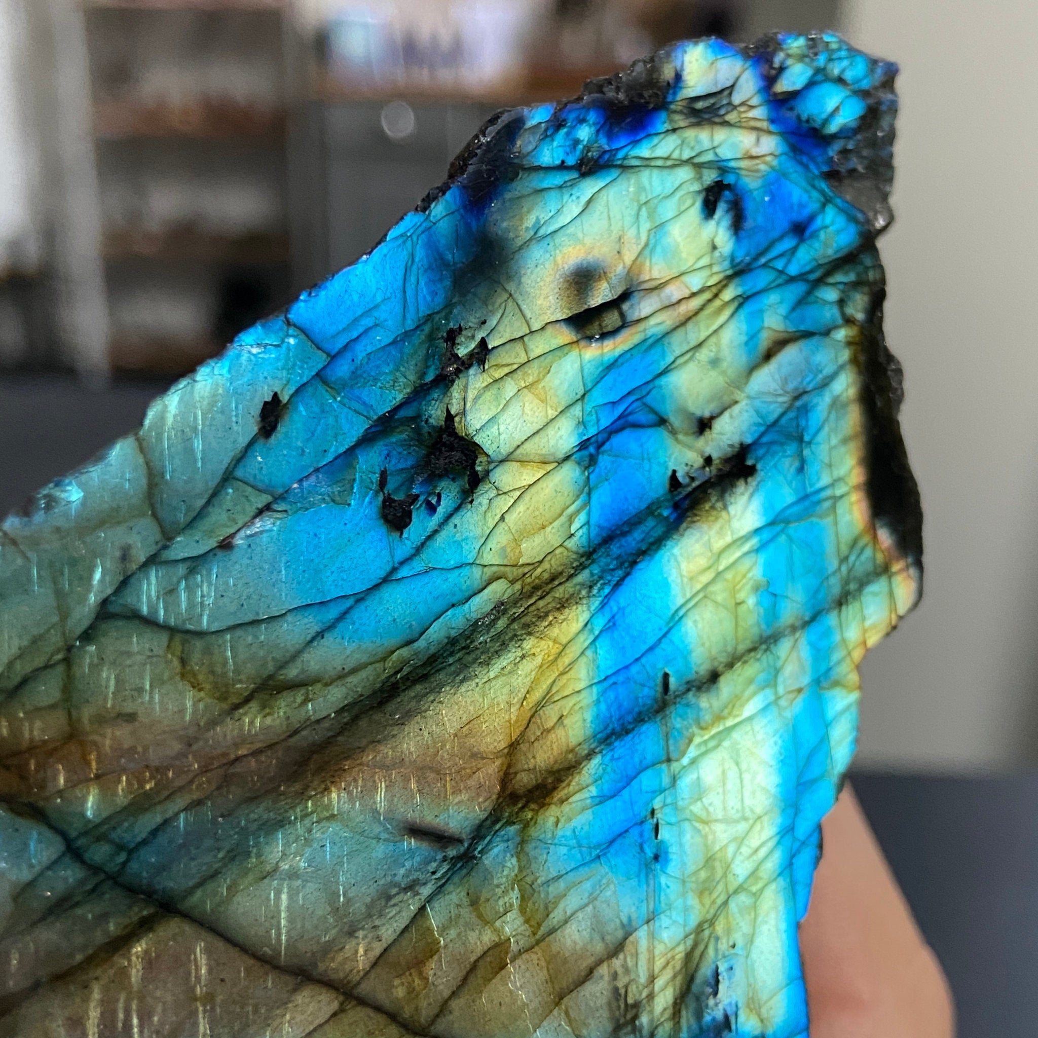 Madagascan 'Papillon' Labradorite – New Beginnings & Intuition
