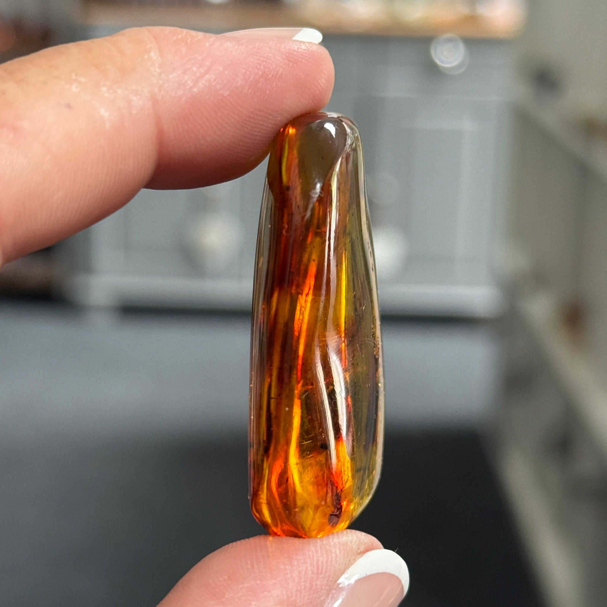 🧡 Colombian Amber with insects and plant life