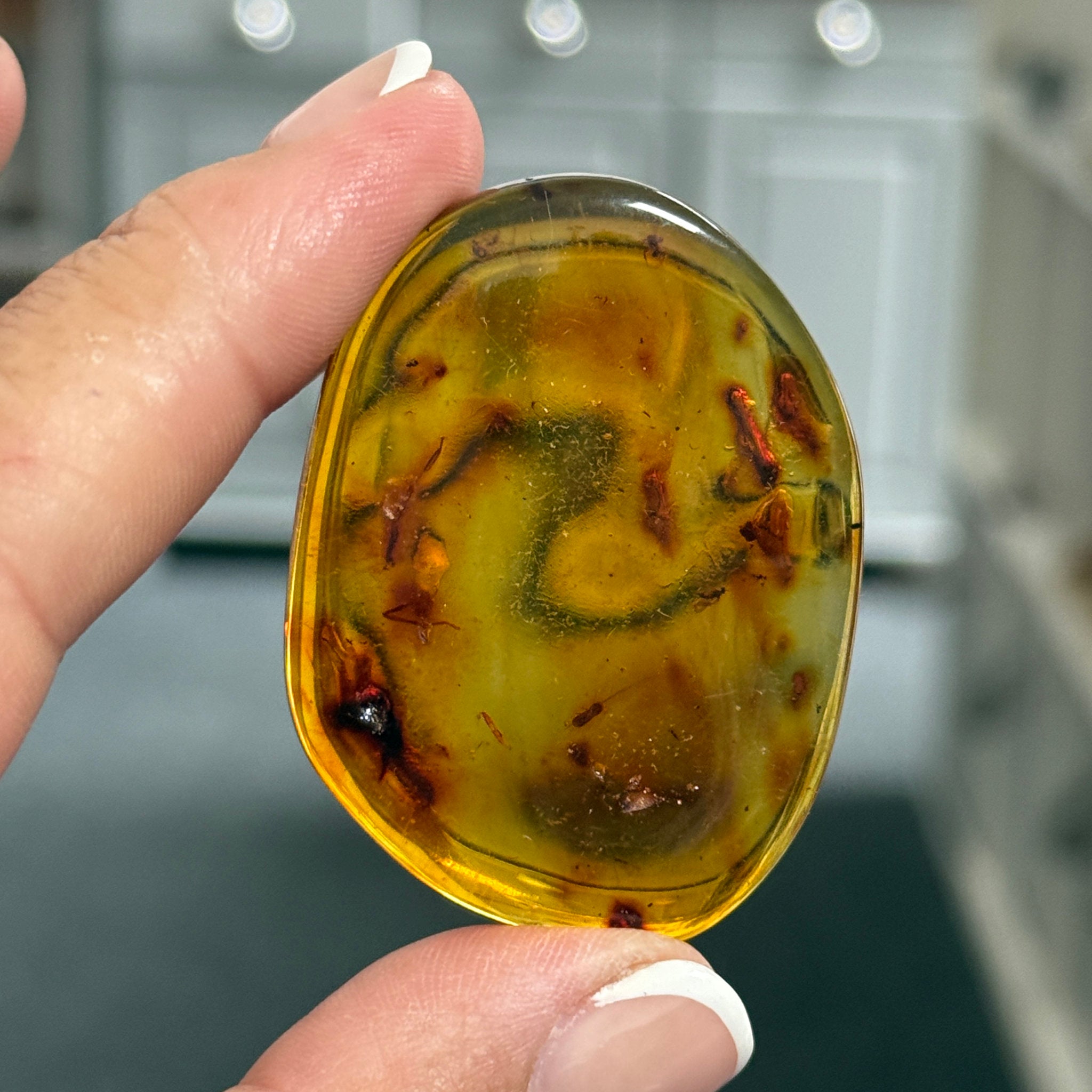 🧡 Colombian Amber with insects and plant life