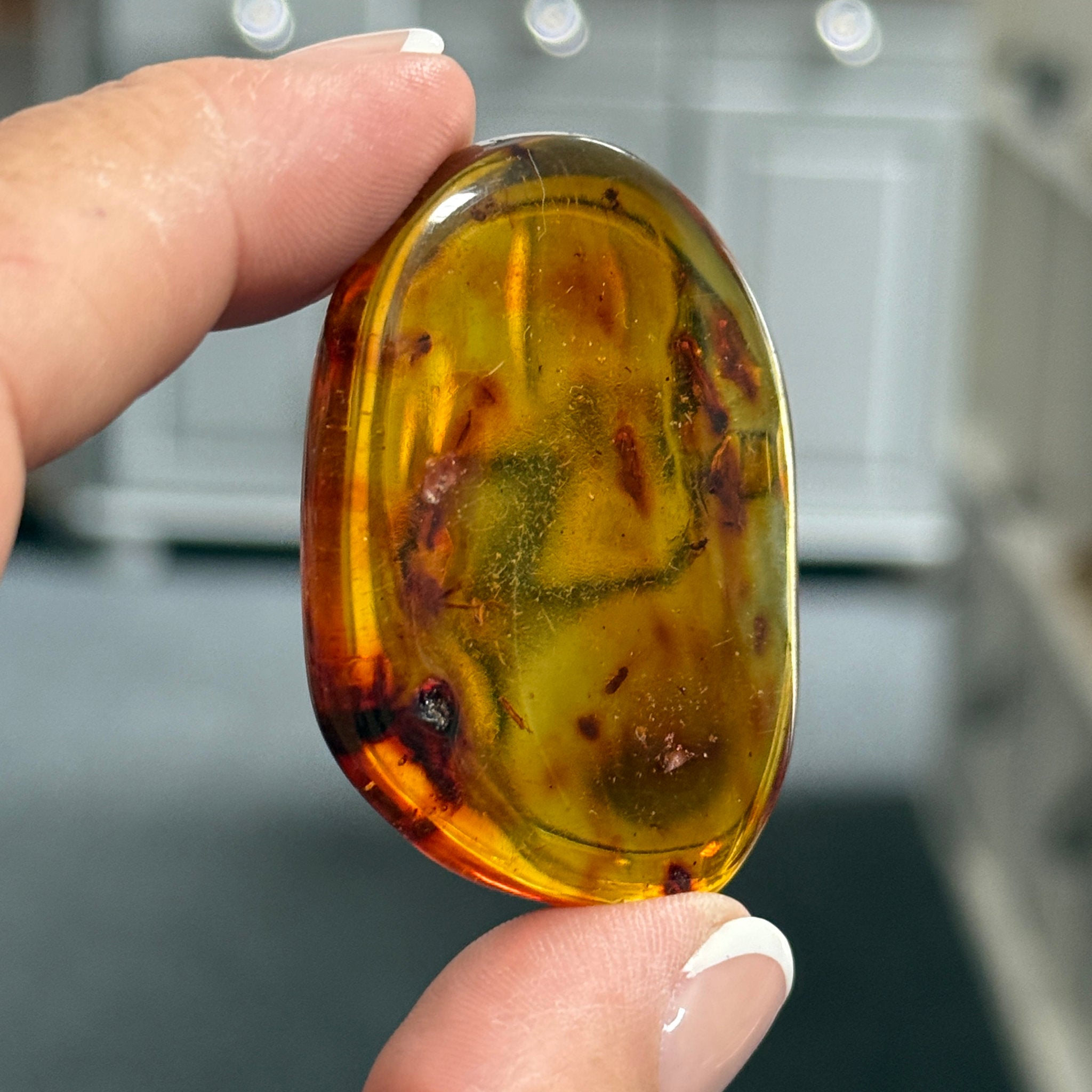 🧡 Colombian Amber with insects and plant life