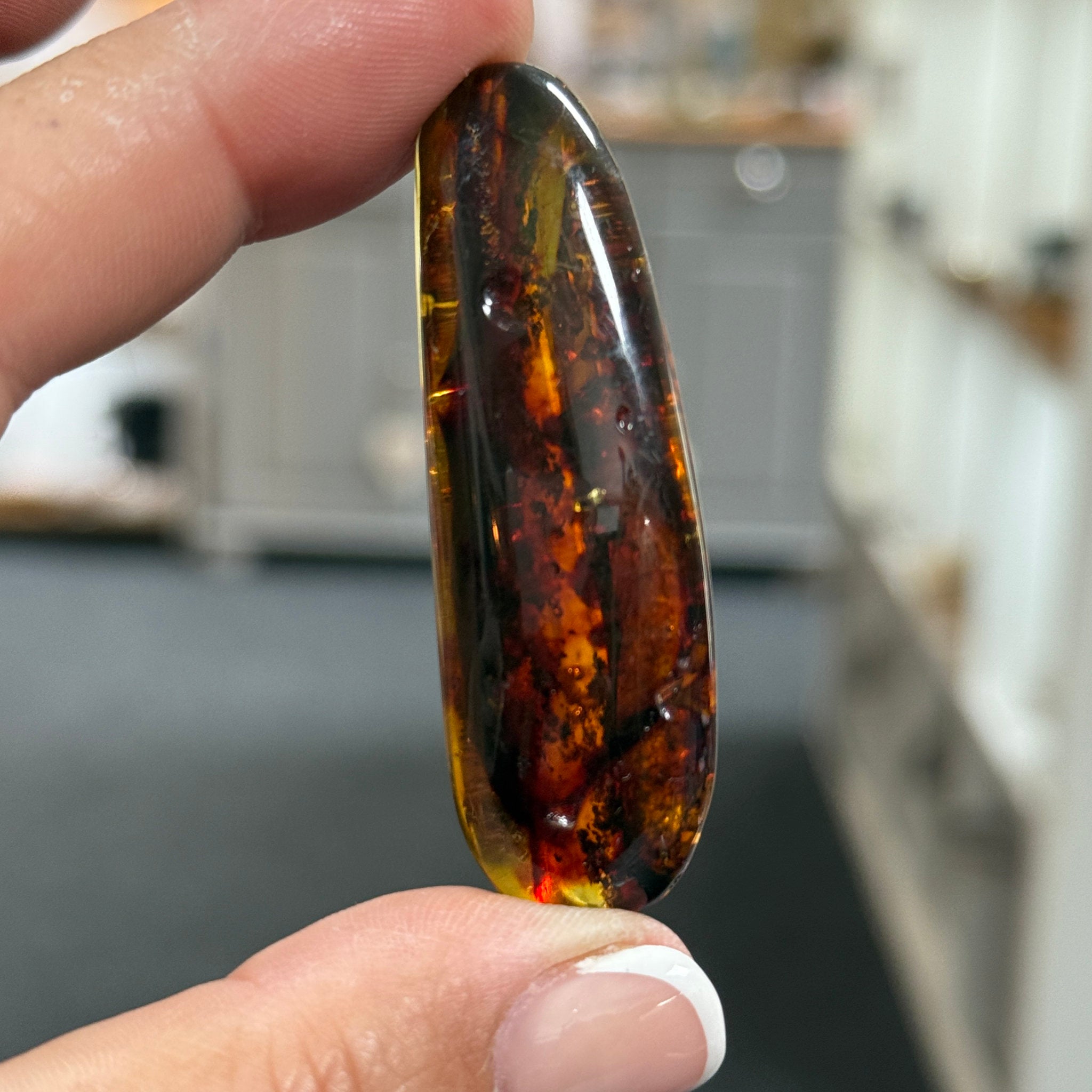 🧡 Colombian Amber with plant life