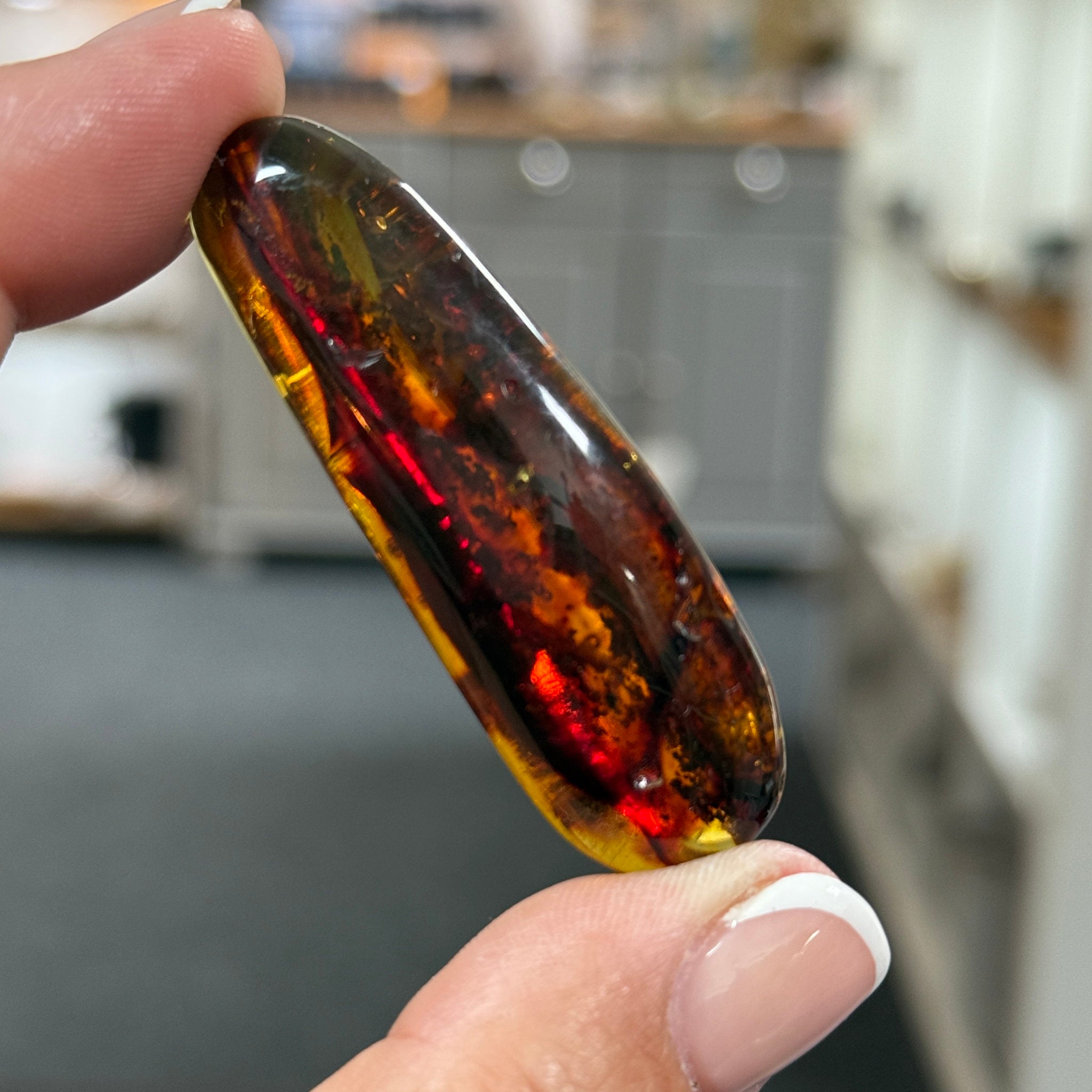 🧡 Colombian Amber with plant life