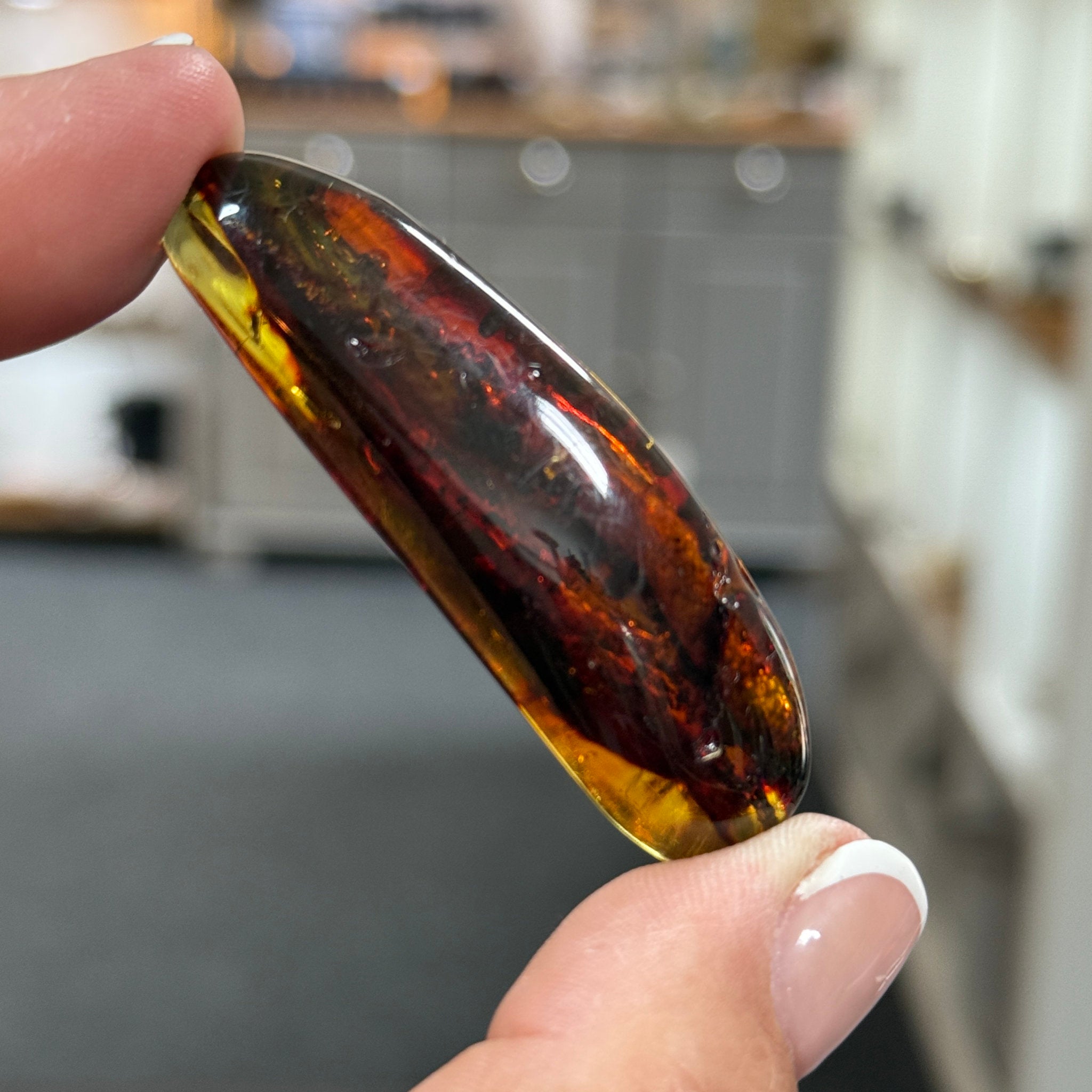 🧡 Colombian Amber with plant life