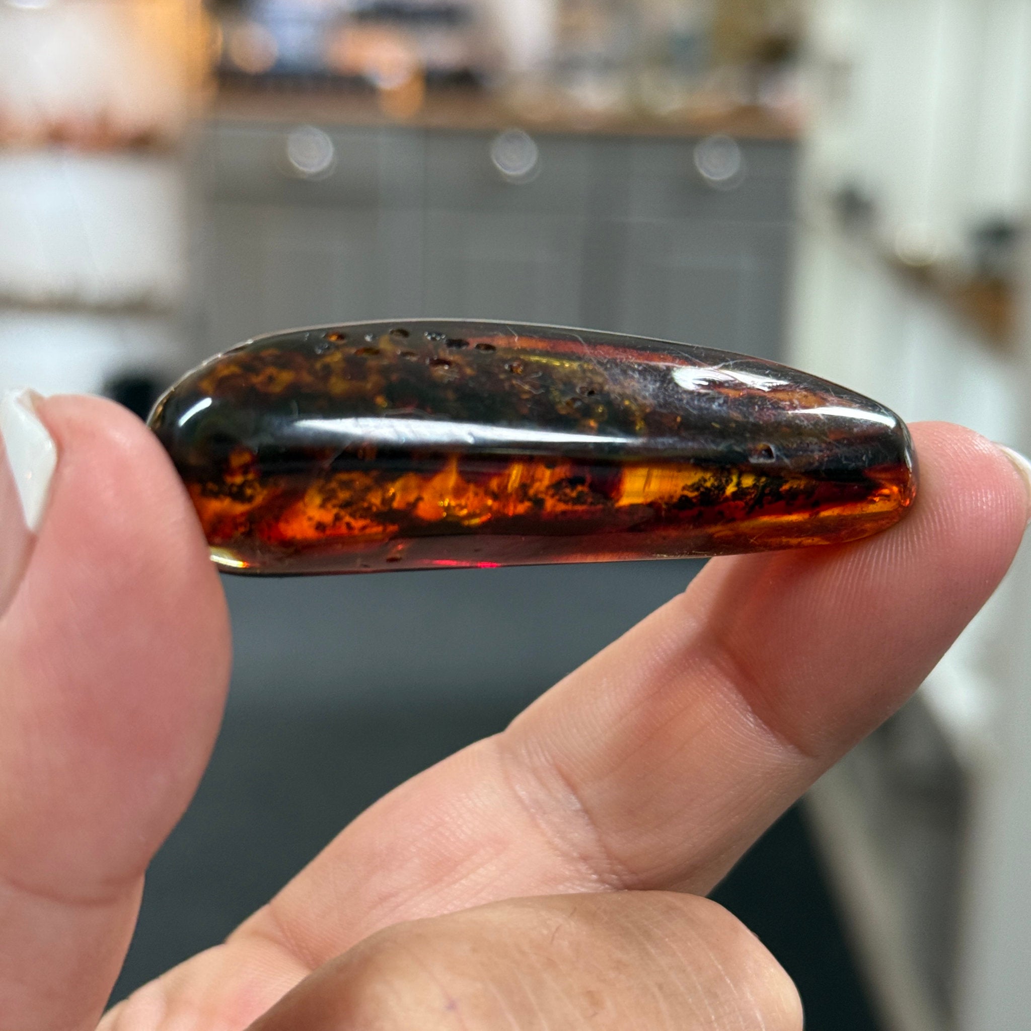 🧡 Colombian Amber with plant life