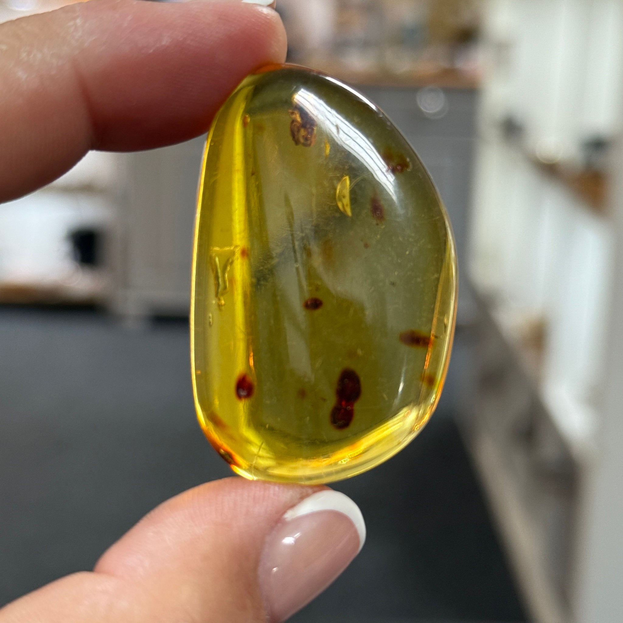 🧡 Colombian Amber with insects and plant life
