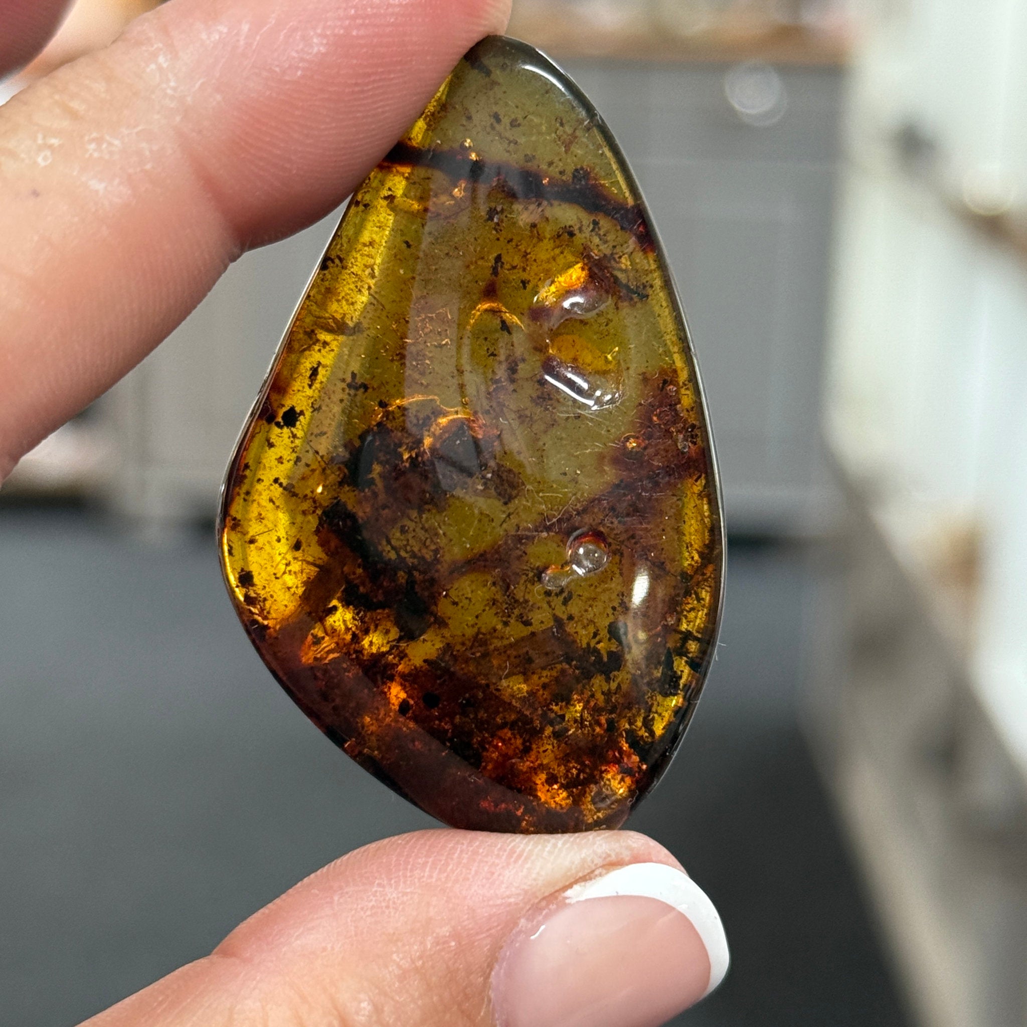 🧡 Colombian Amber with insects and plant life