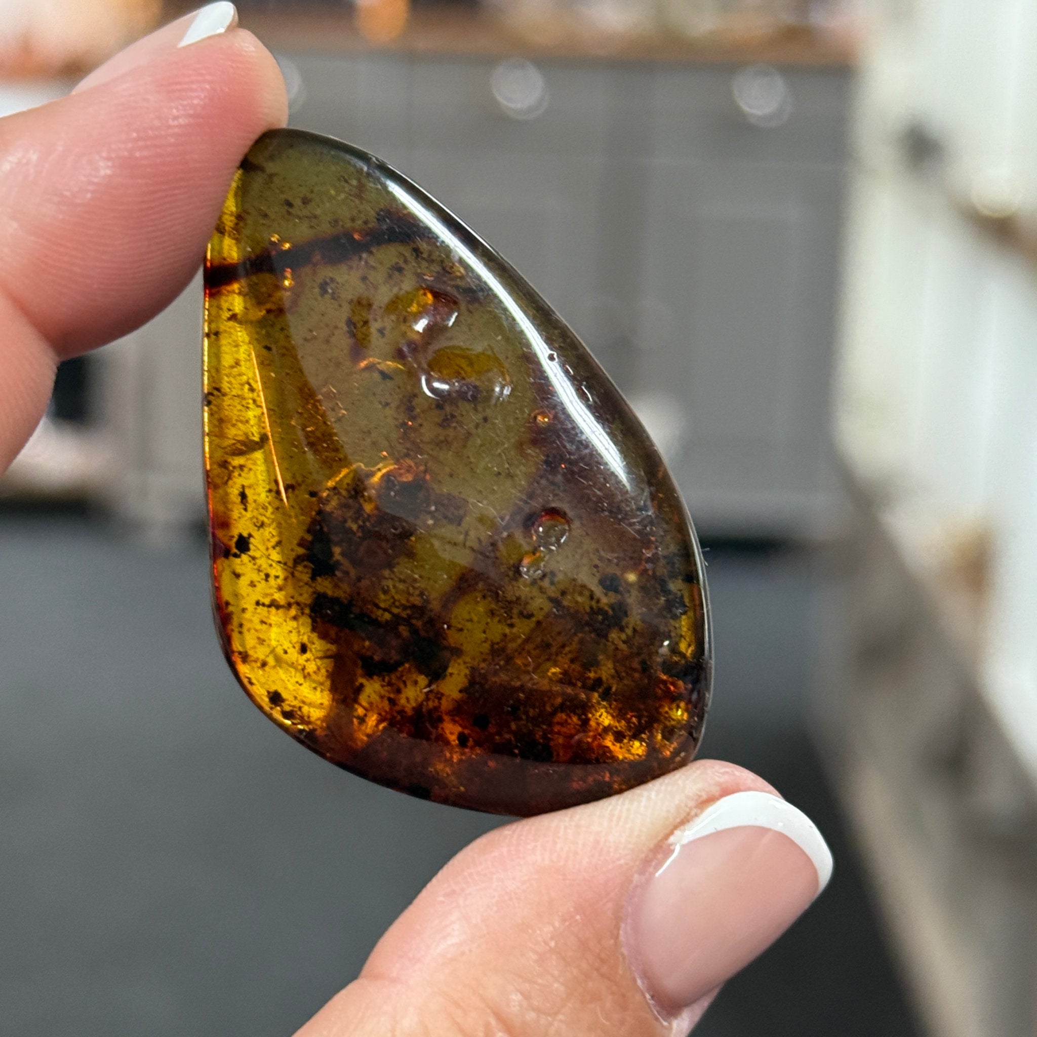 🧡 Colombian Amber with insects and plant life