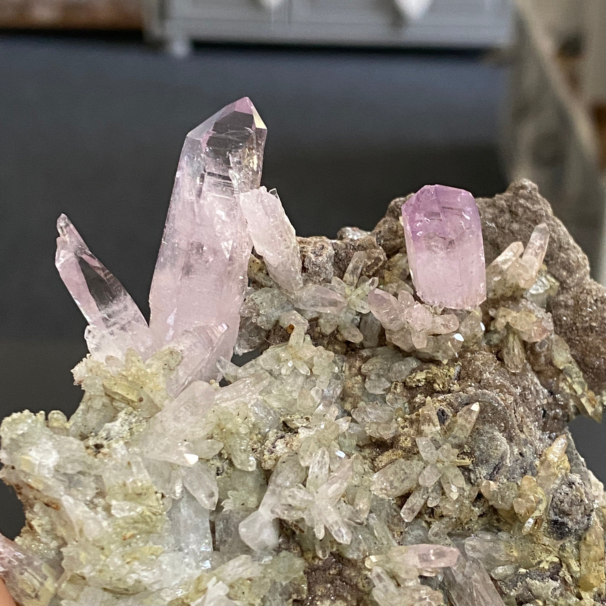 💜 Veracruz Amethyst on Matrix