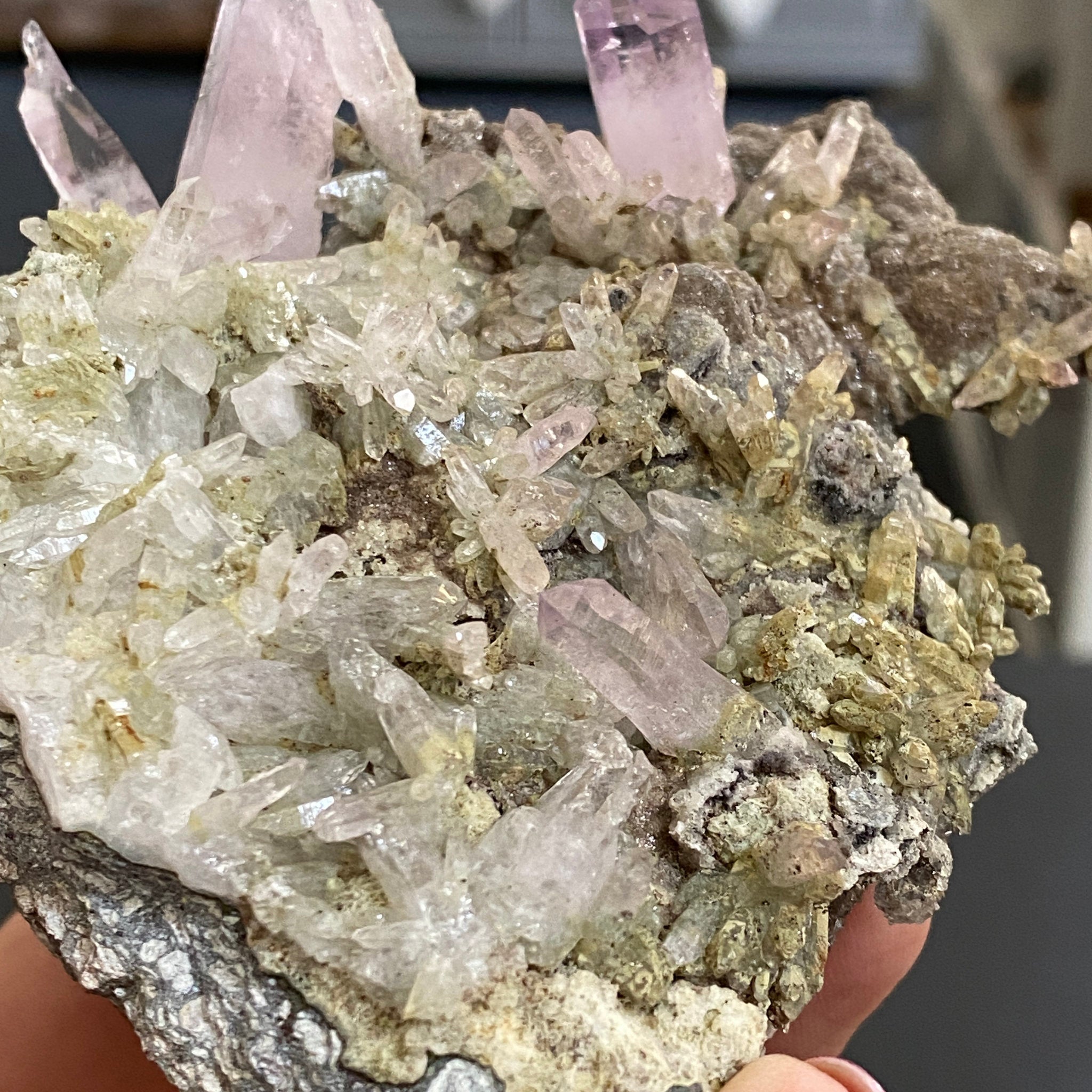💜 Veracruz Amethyst on Matrix