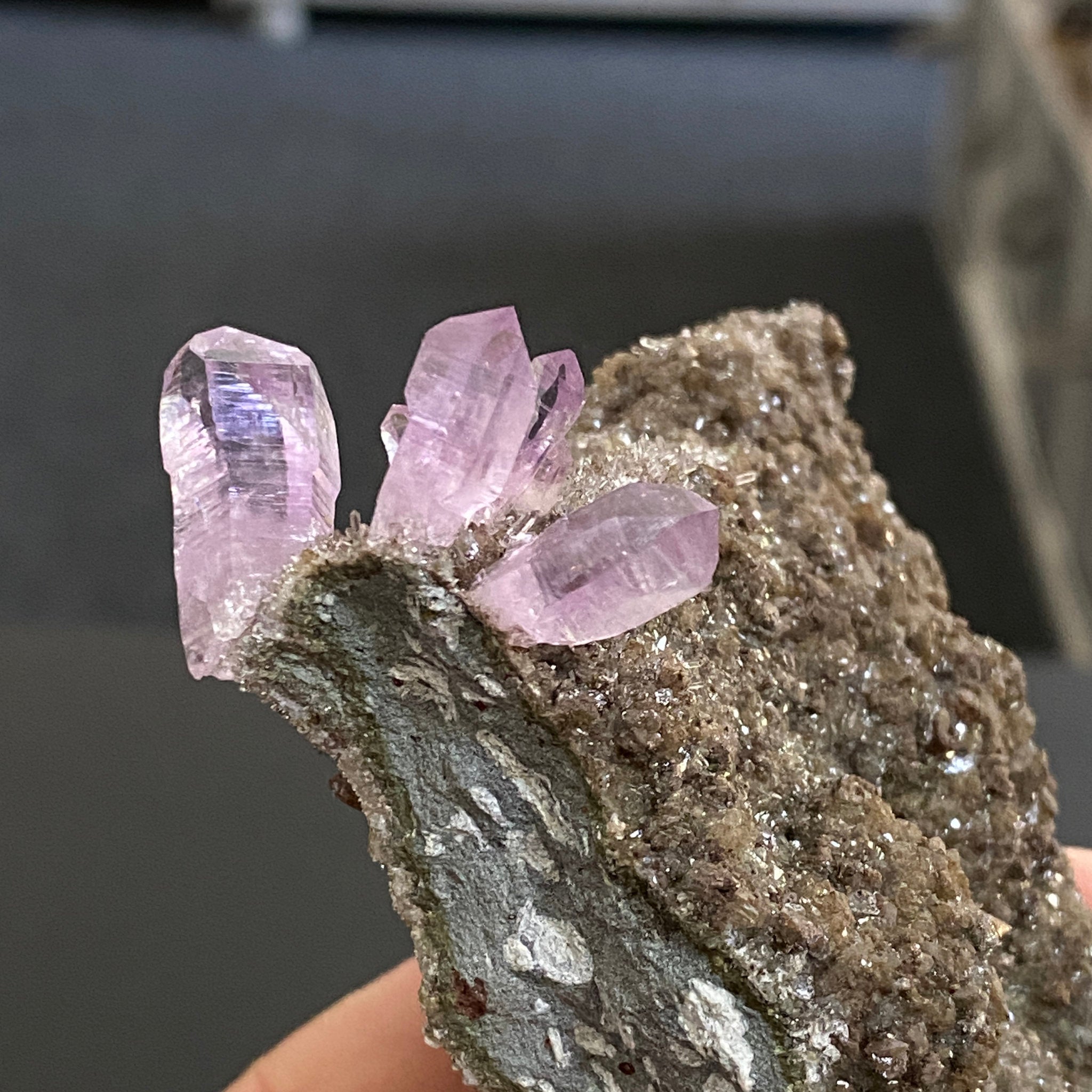 💜 Veracruz Amethyst on Matrix