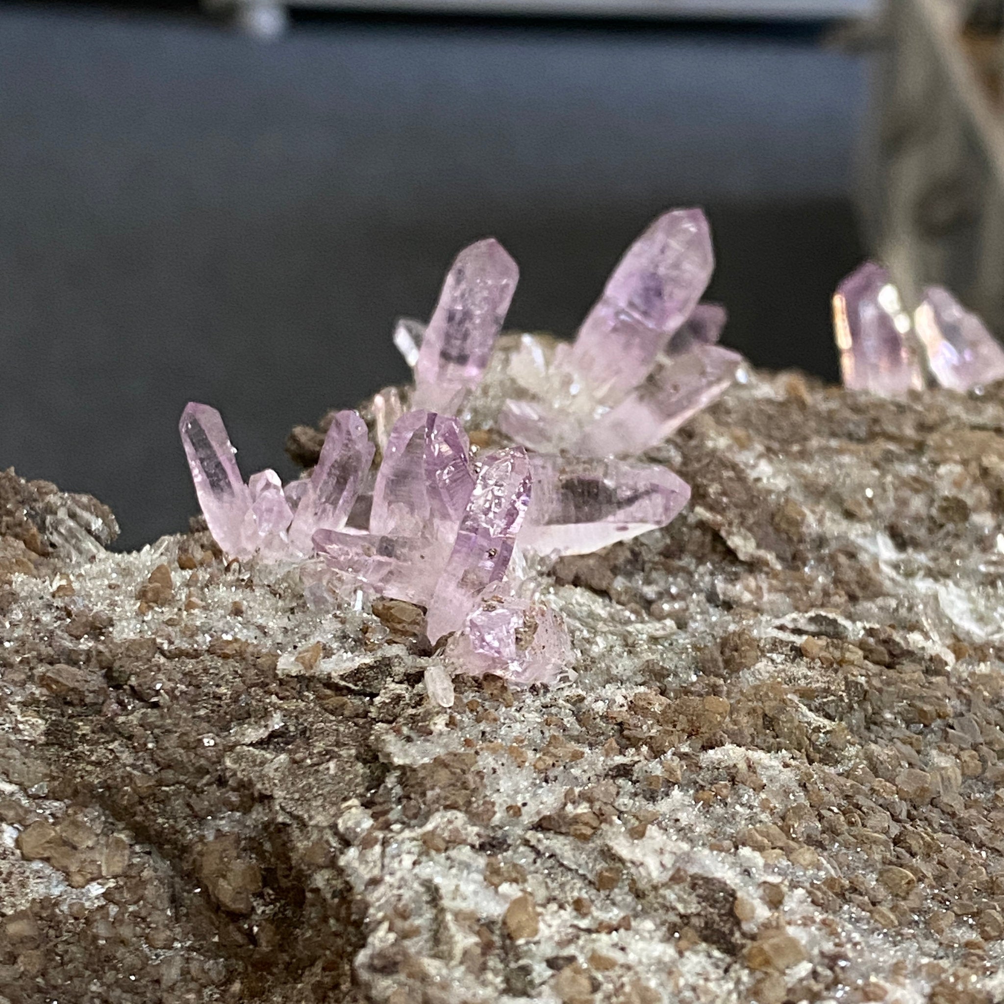 💜 Veracruz Amethyst on Matrix