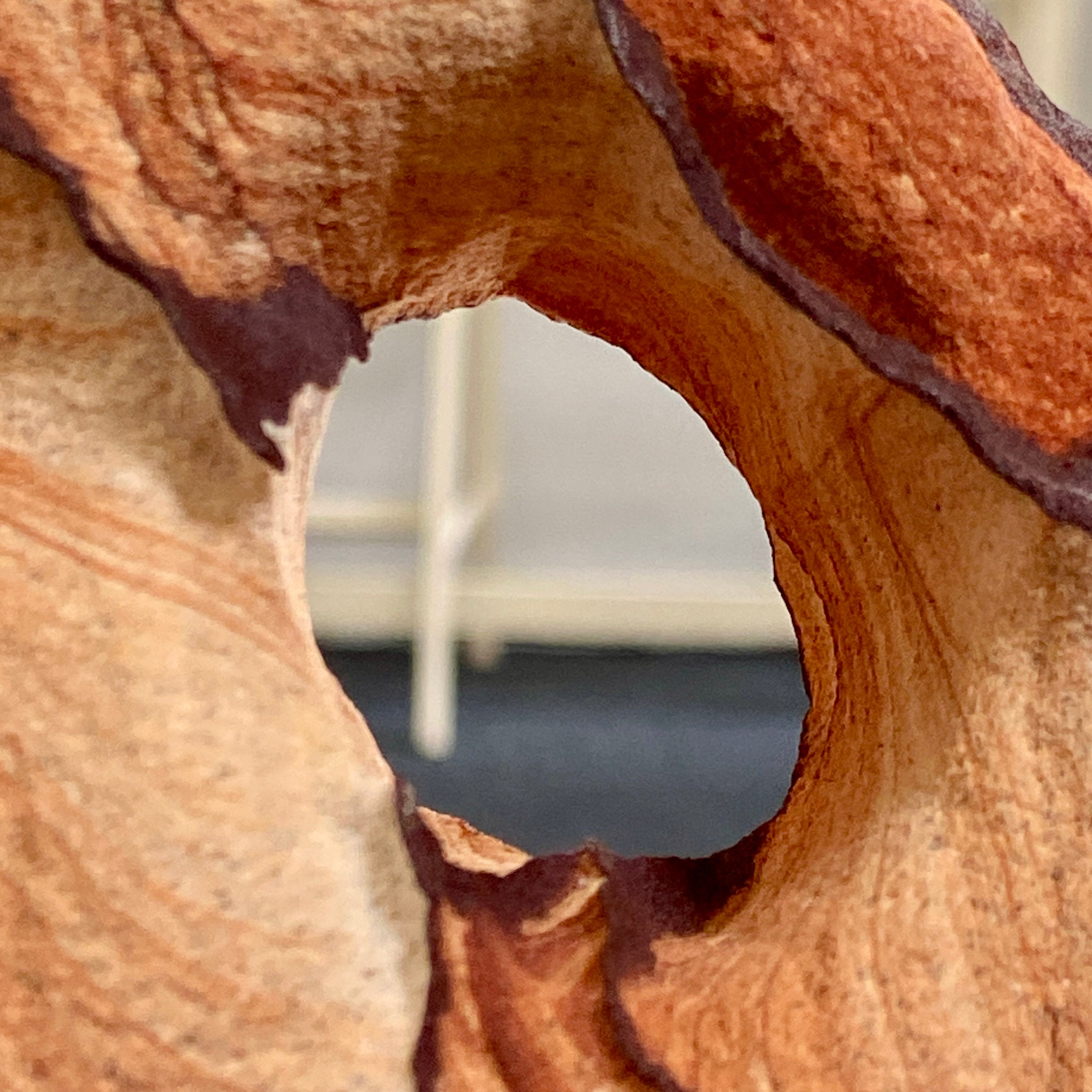 Kanab Wonderstone - Utah, USA