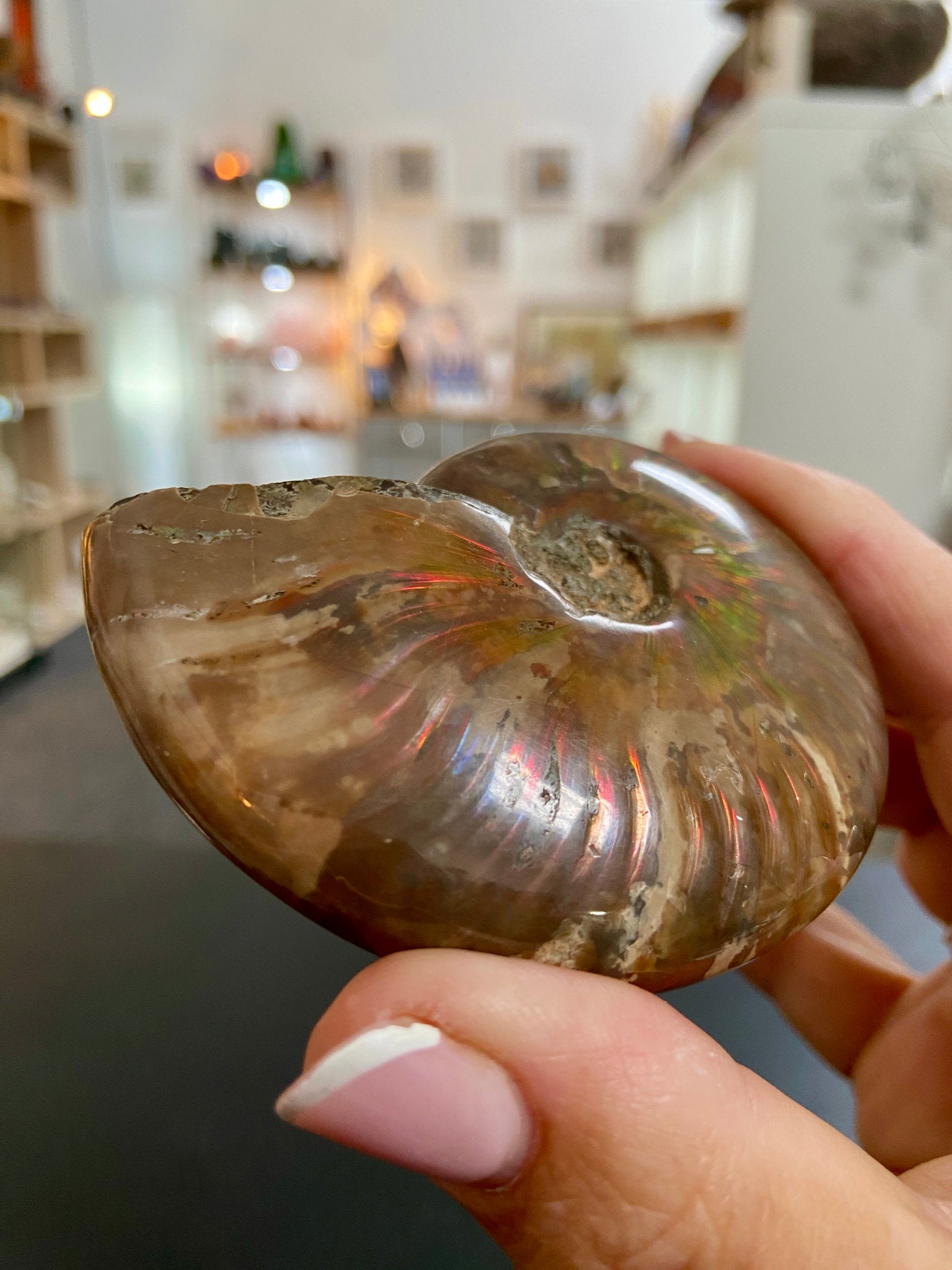 🔥 Polished Red Opalised Ammonite