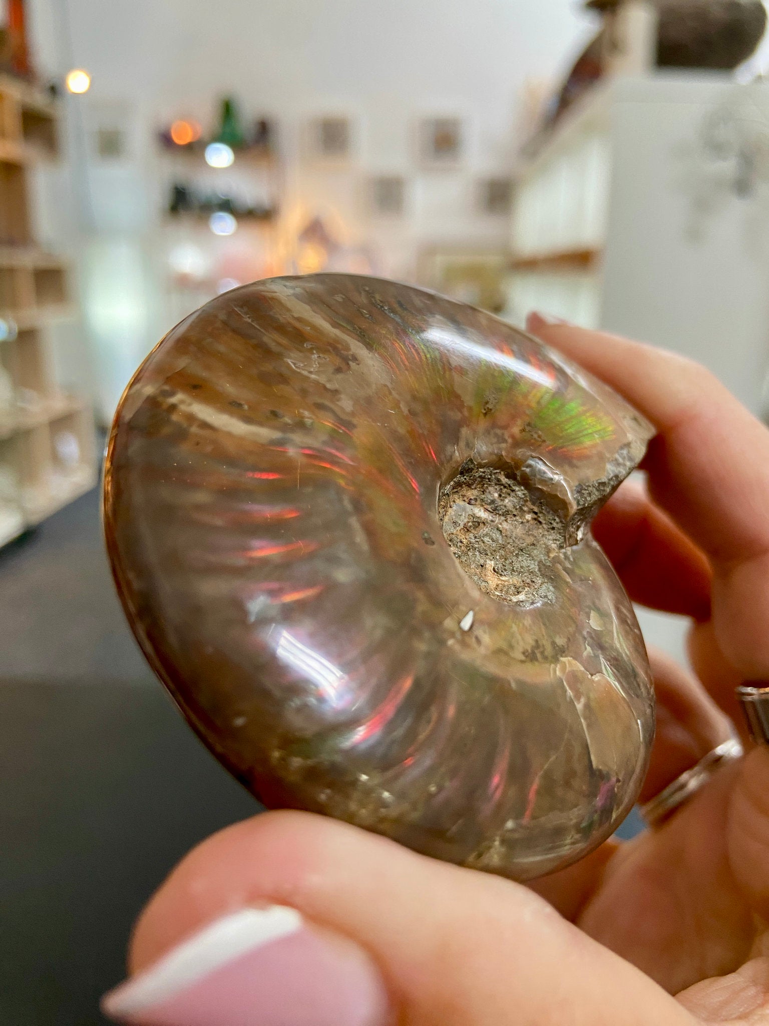 🔥 Polished Red Opalised Ammonite