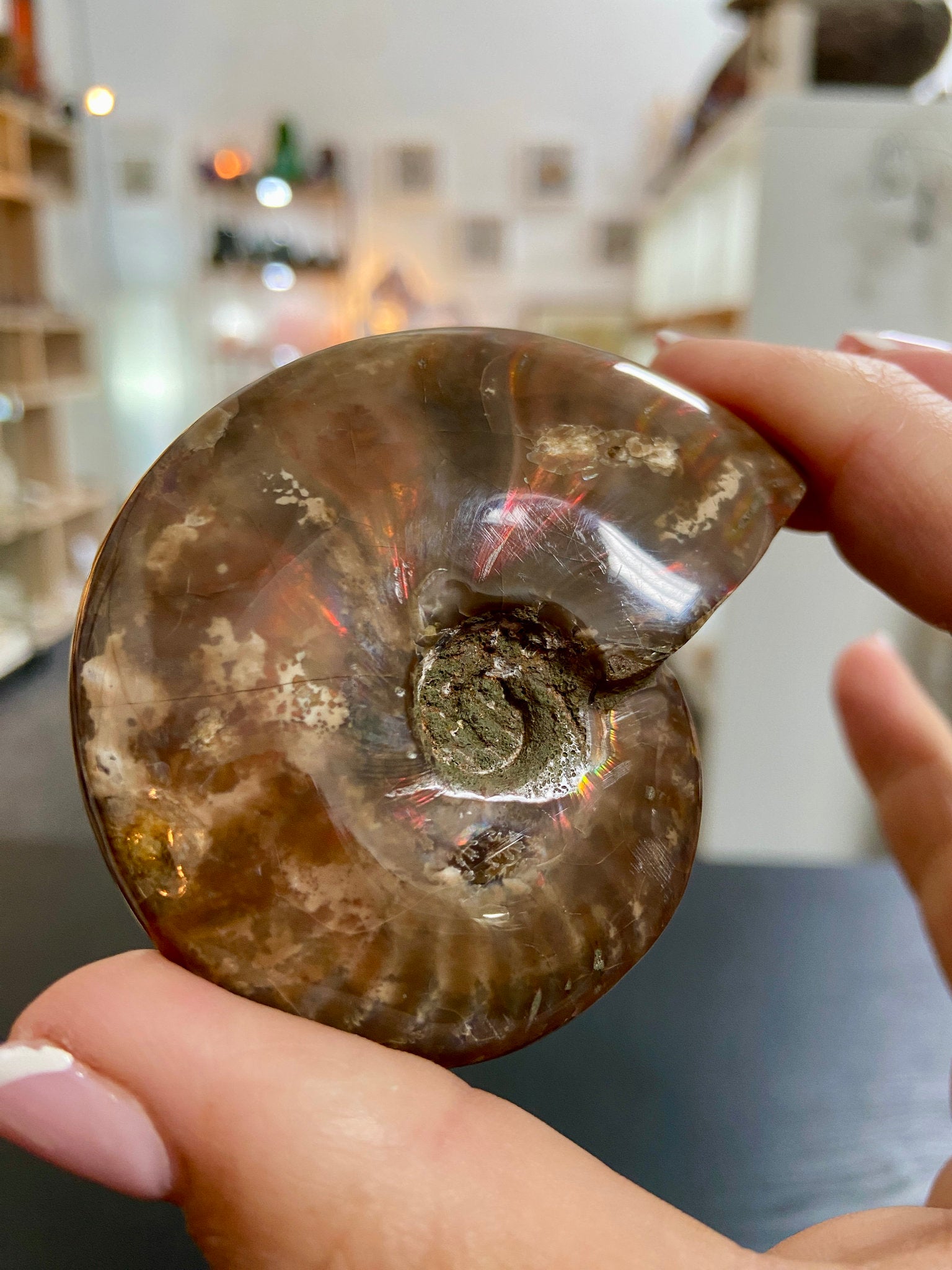 🔥 Polished Red Opalised Ammonite