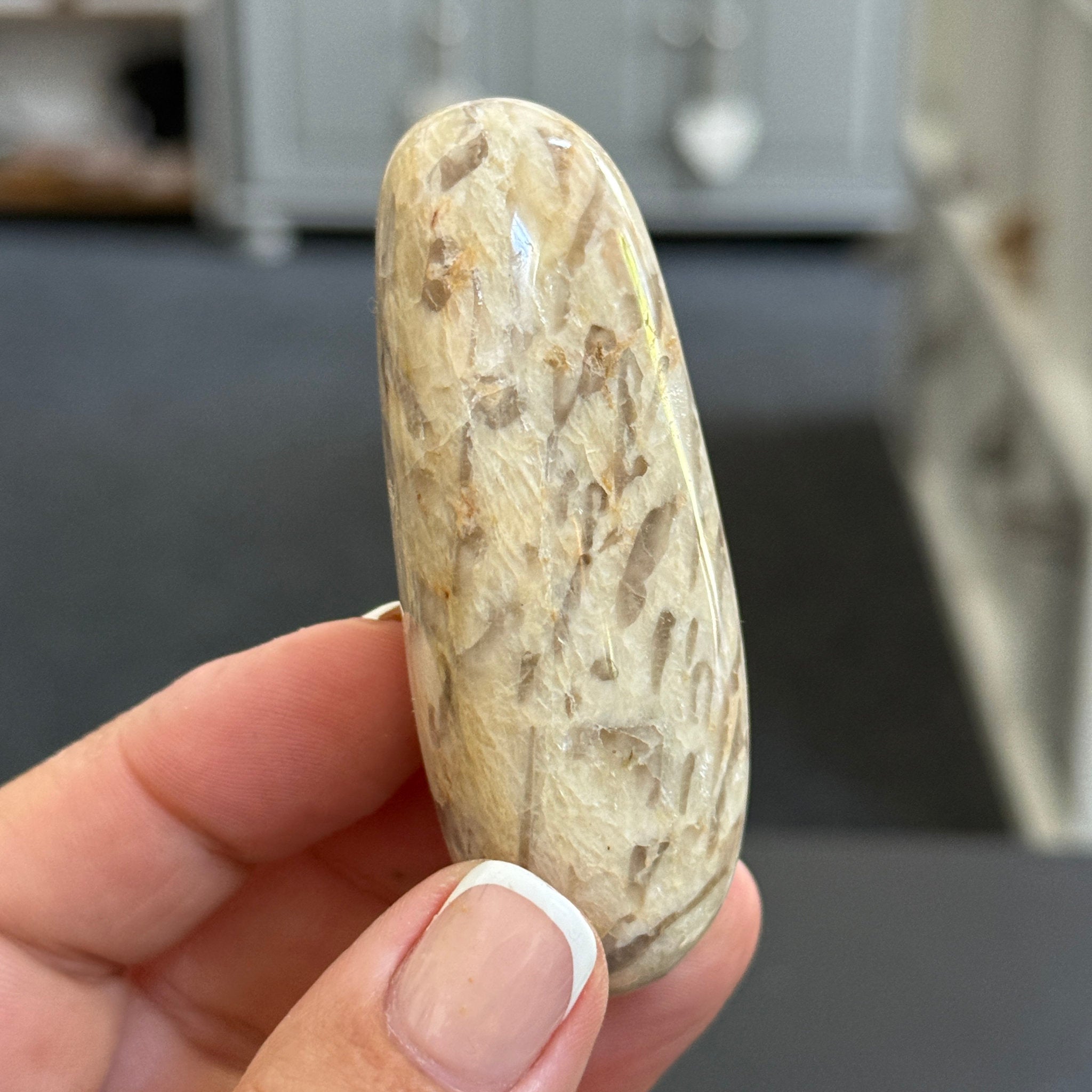 Zebradorite - Graphic Feldspar Palmstone