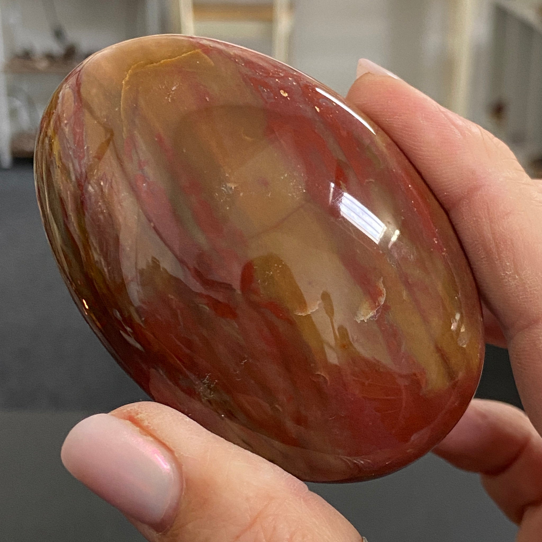 Petrified Red Wood Palmstone