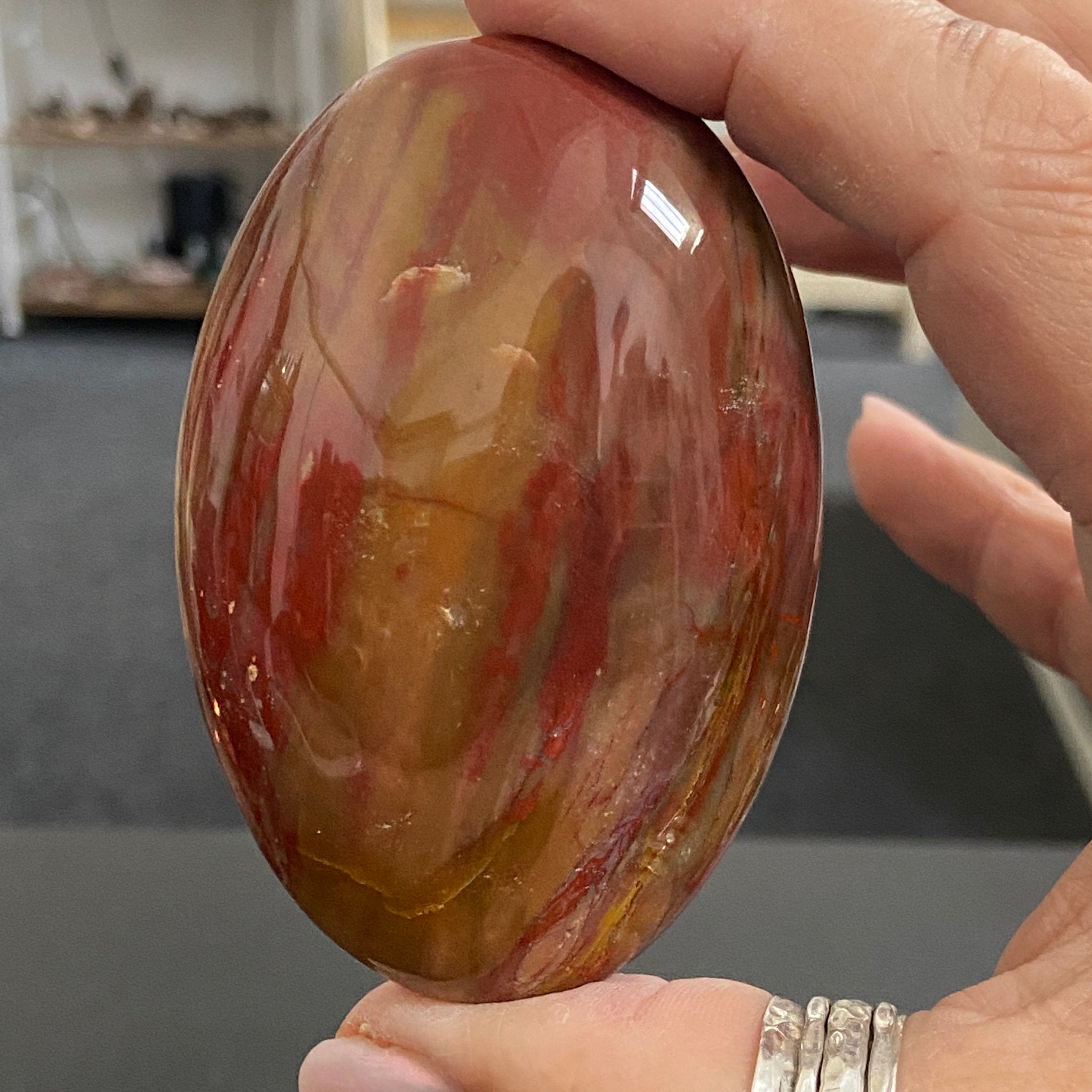 Petrified Red Wood Palmstone