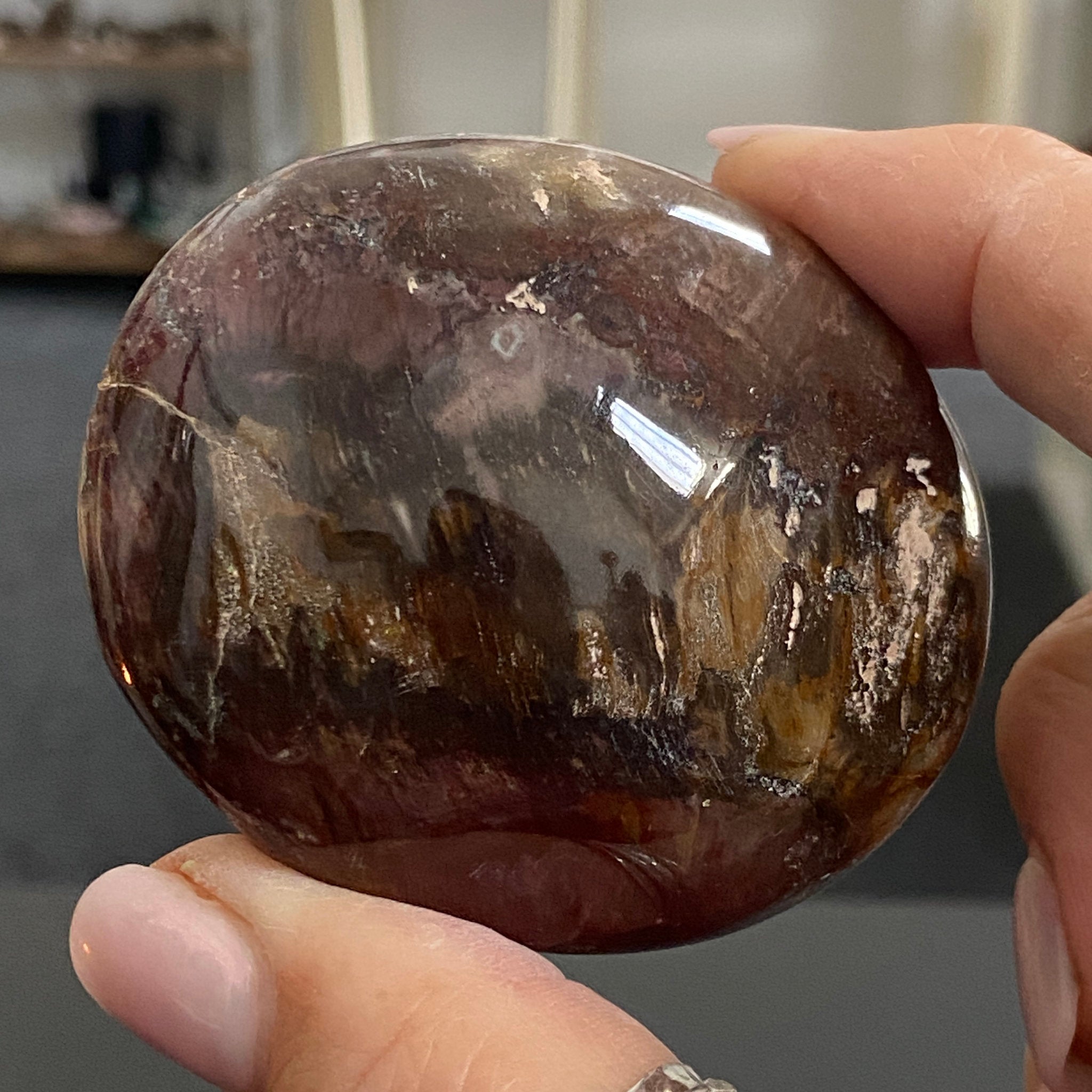 Petrified Wood Palmstone