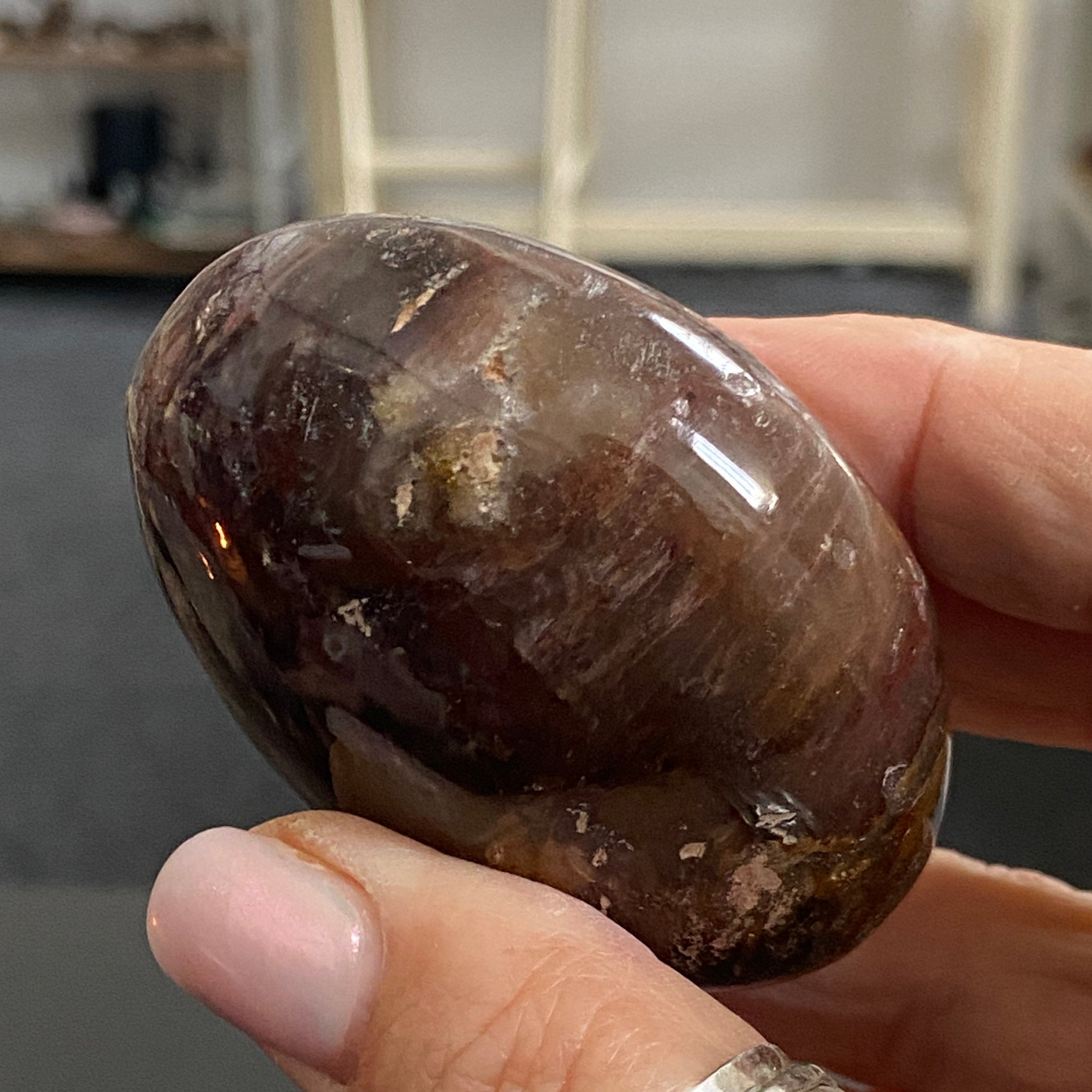 Petrified Wood Palmstone