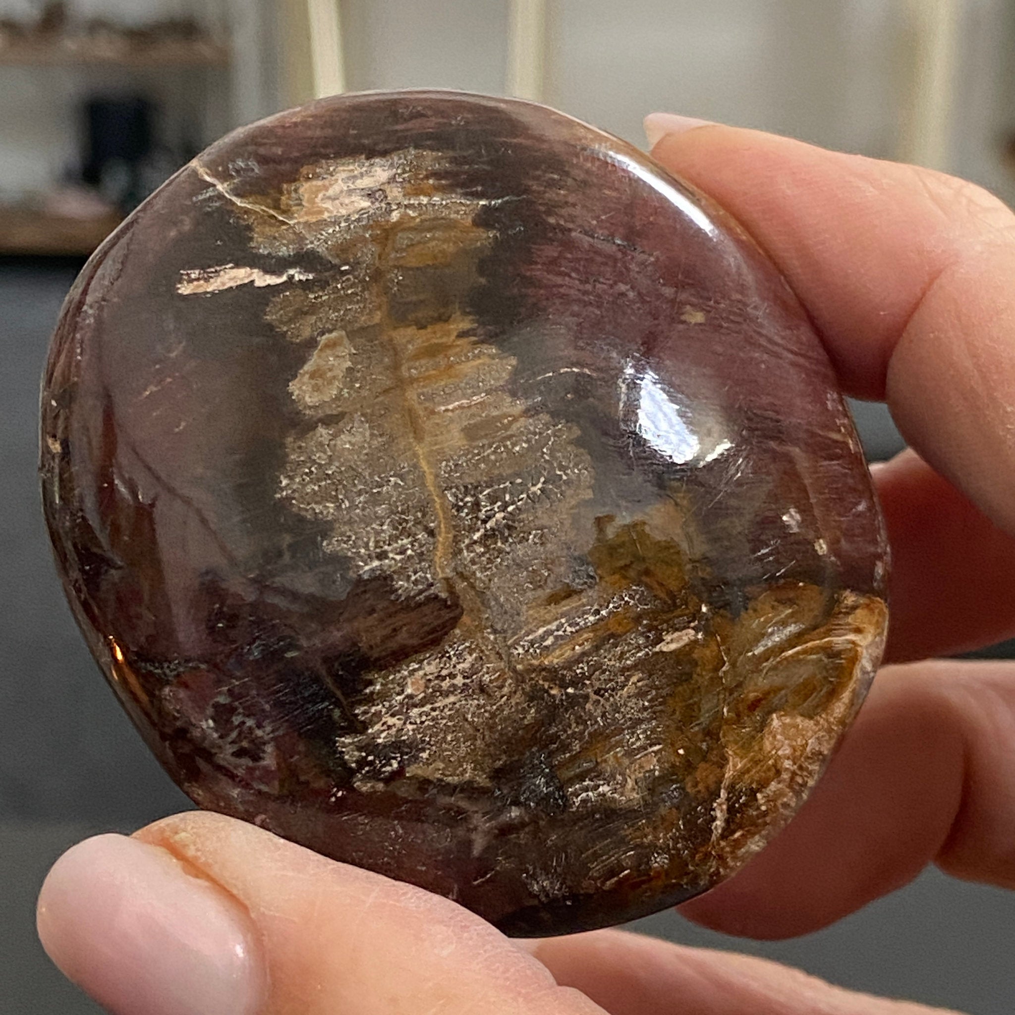 Petrified Wood Palmstone