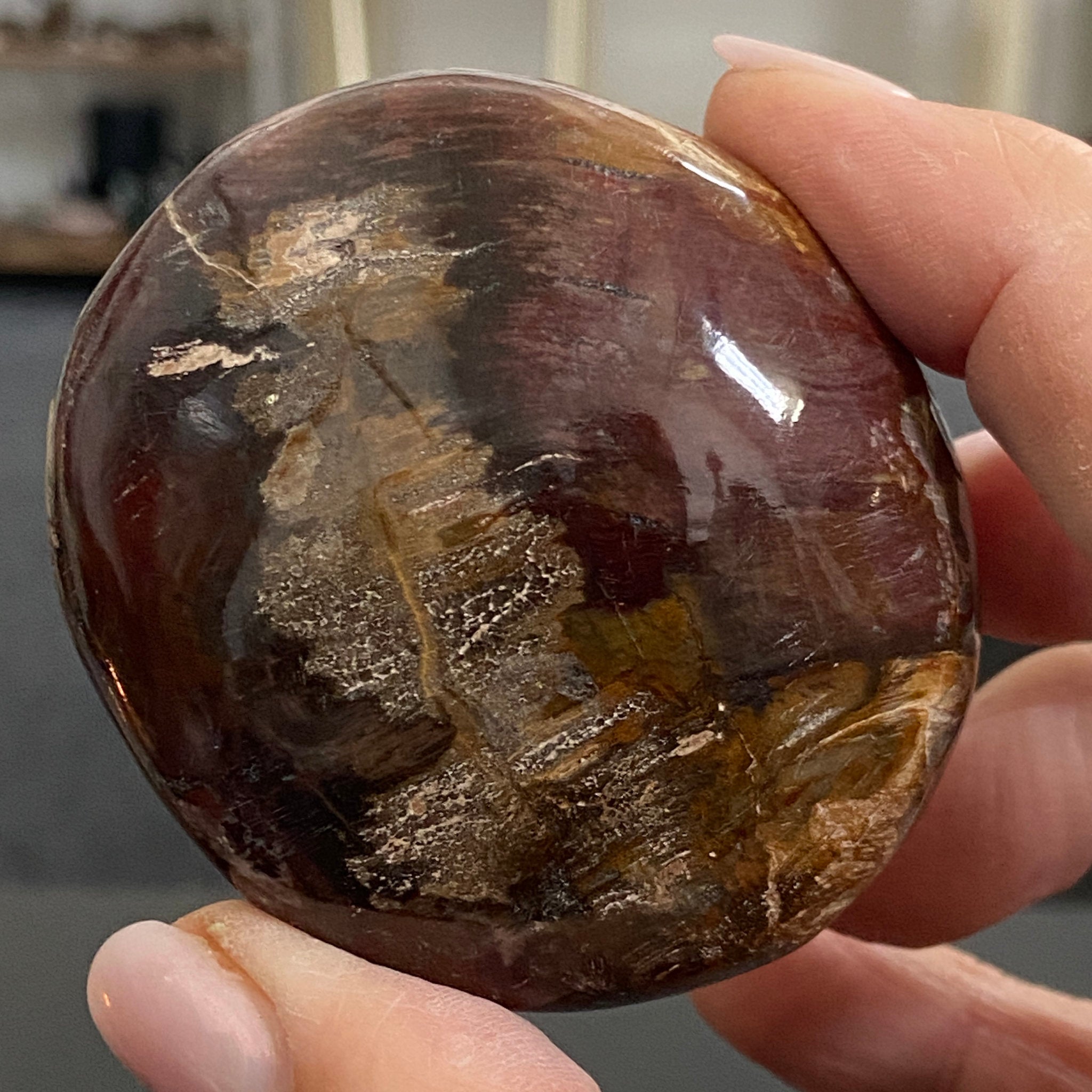 Petrified Wood Palmstone