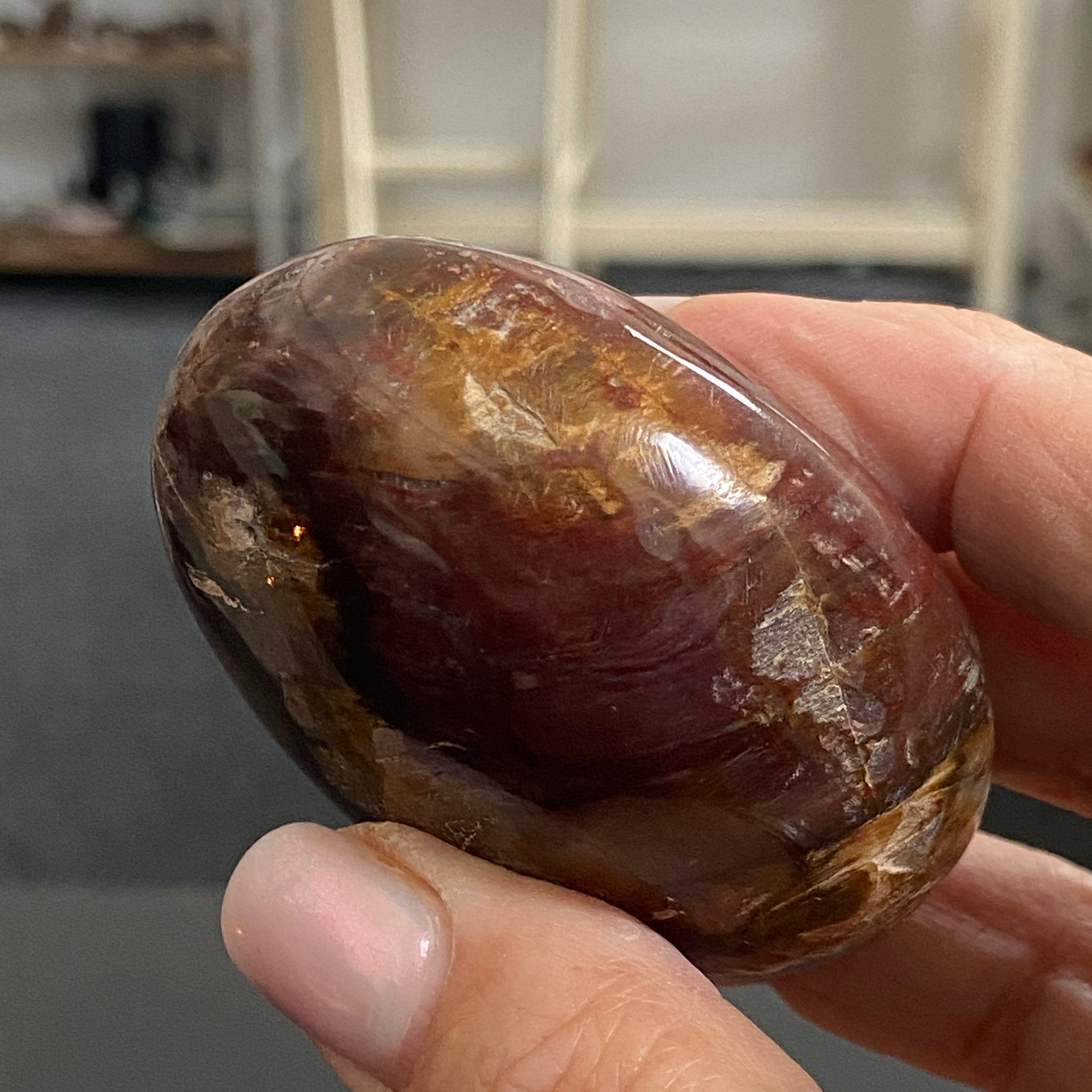 Petrified Wood Palmstone