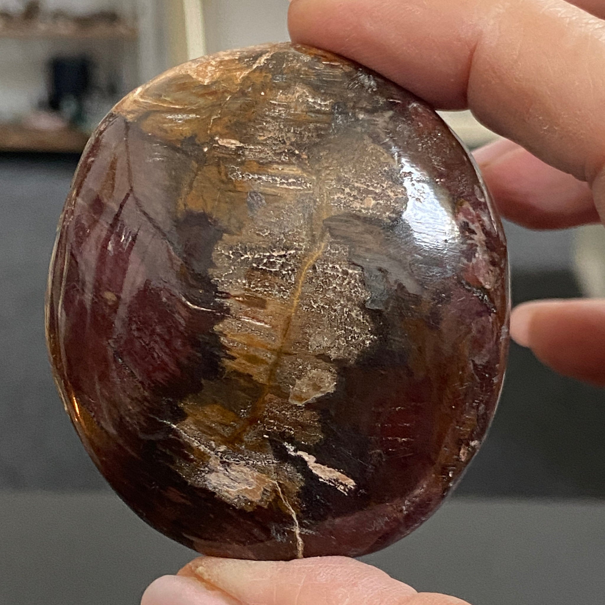 Petrified Wood Palmstone