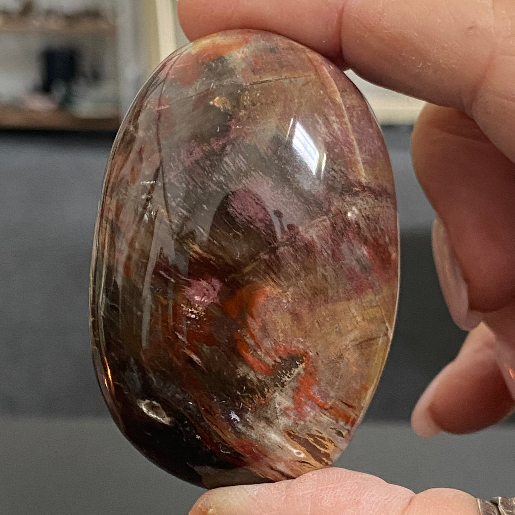 Petrified Red Wood Palmstone