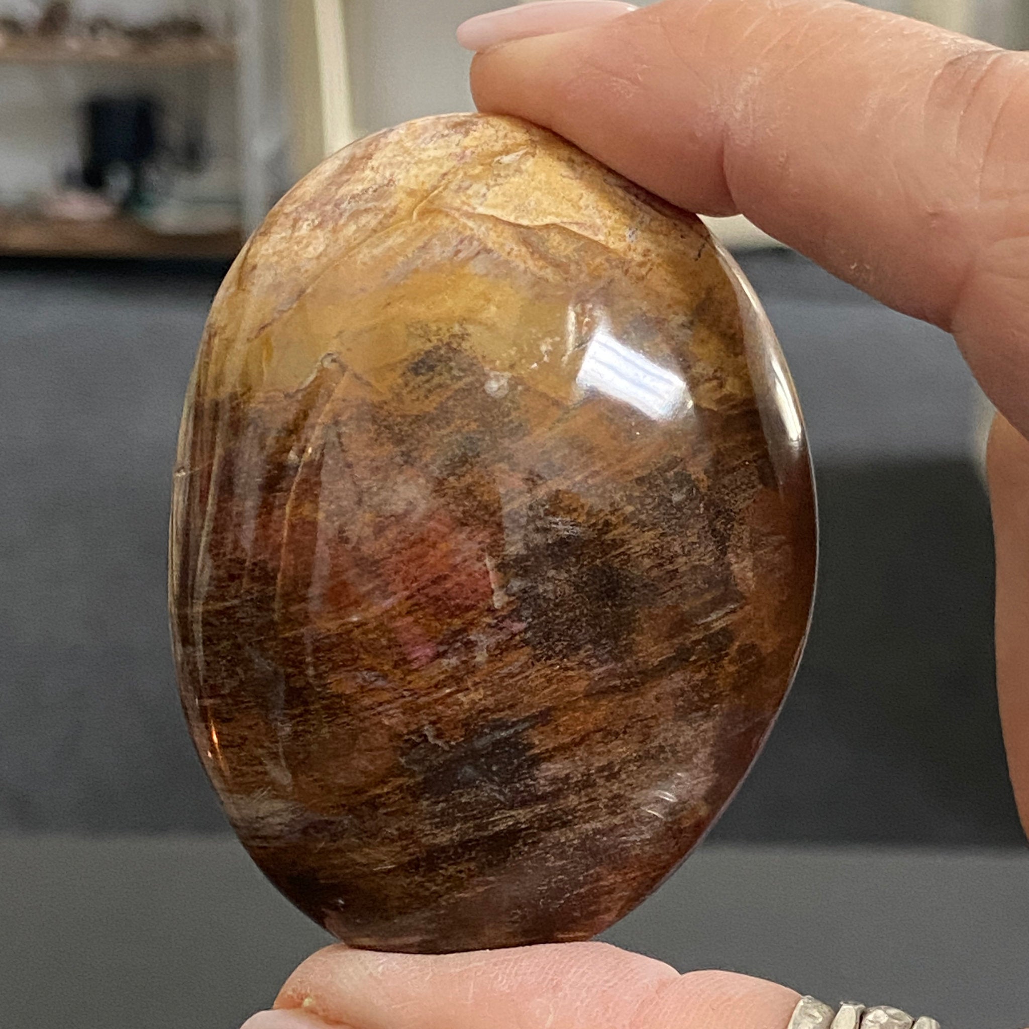 Petrified Wood Palmstone