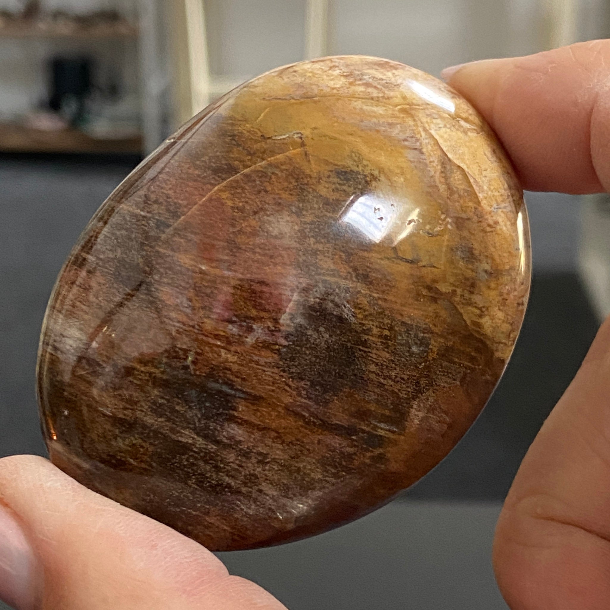 Petrified Wood Palmstone