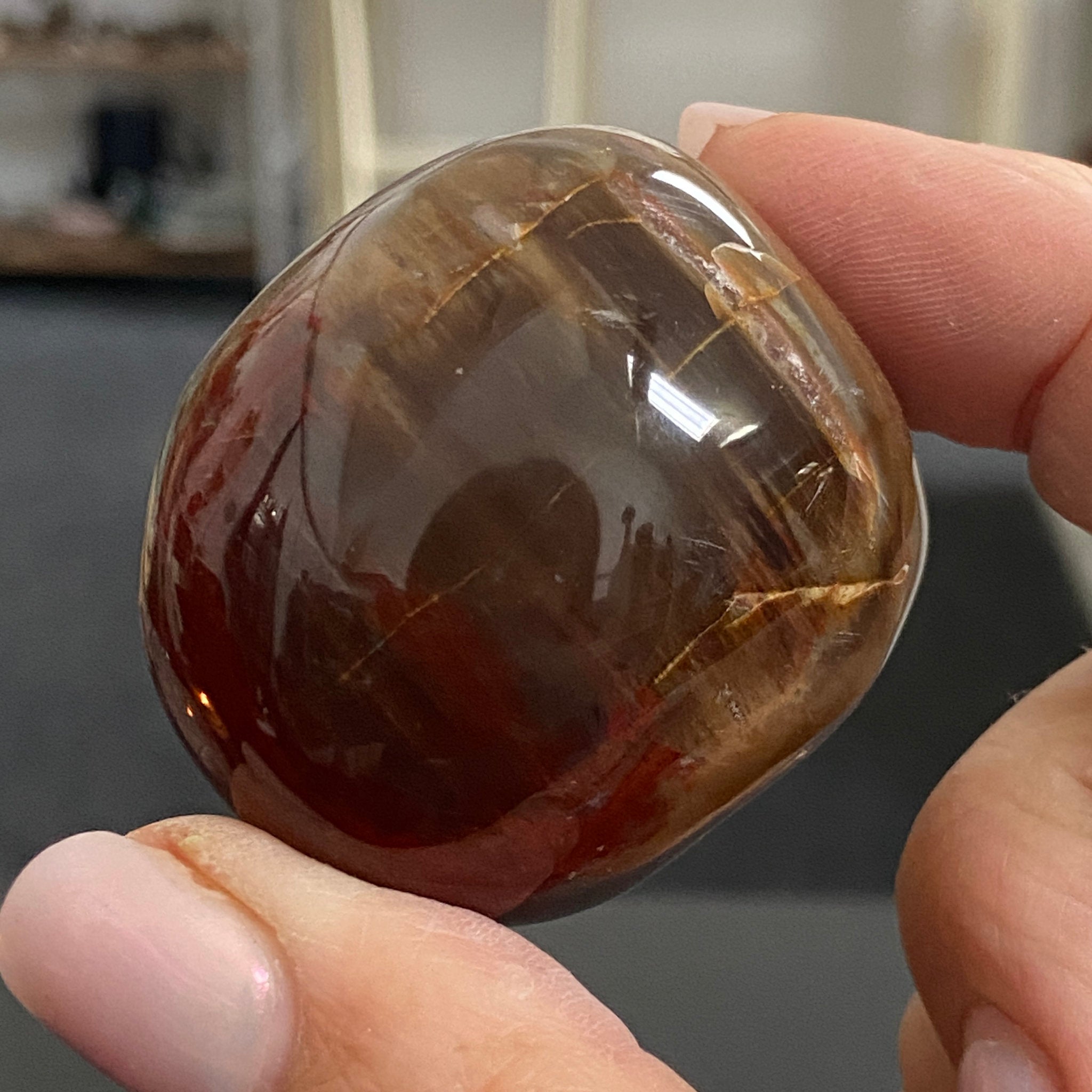 Petrified Red Wood Palmstone