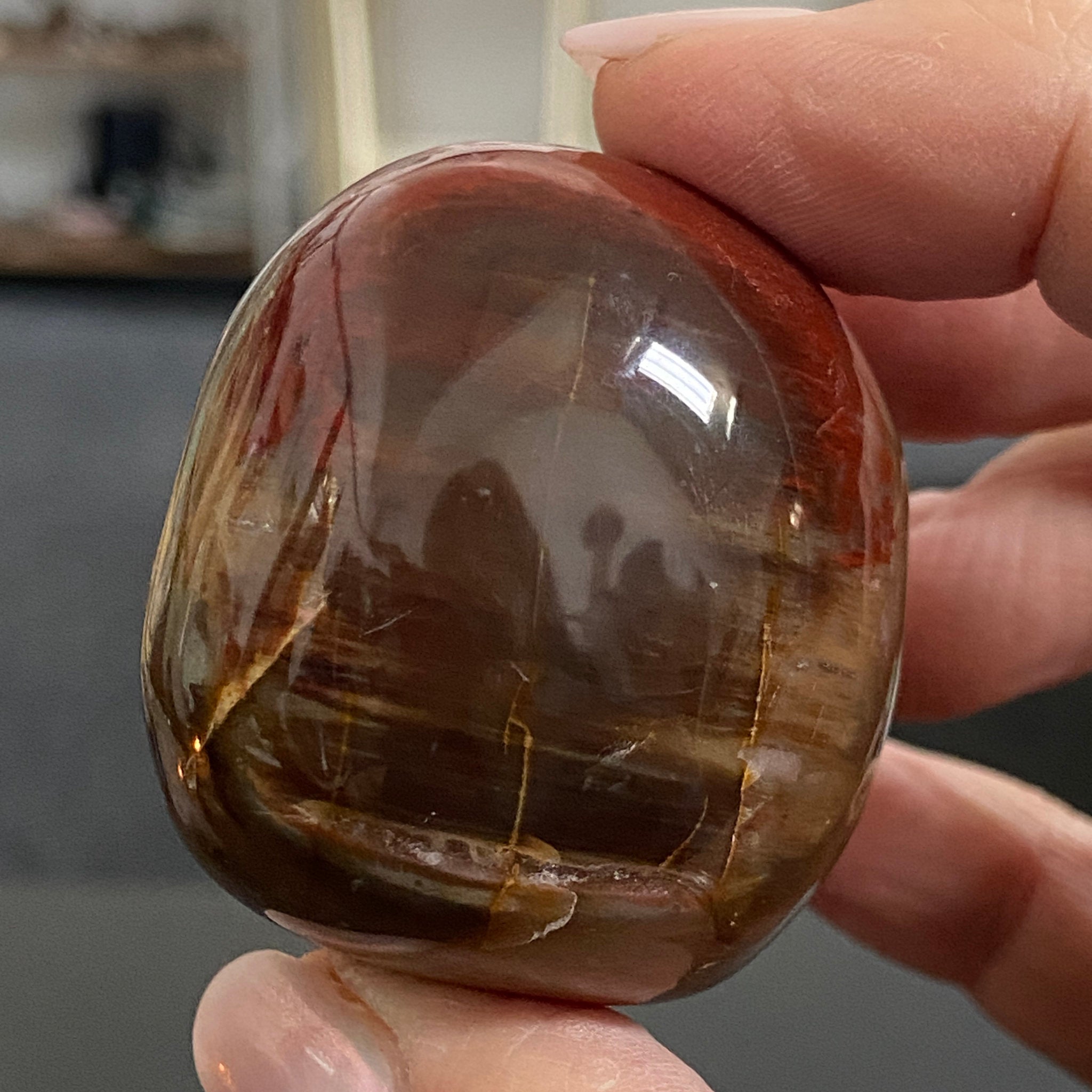 Petrified Red Wood Palmstone