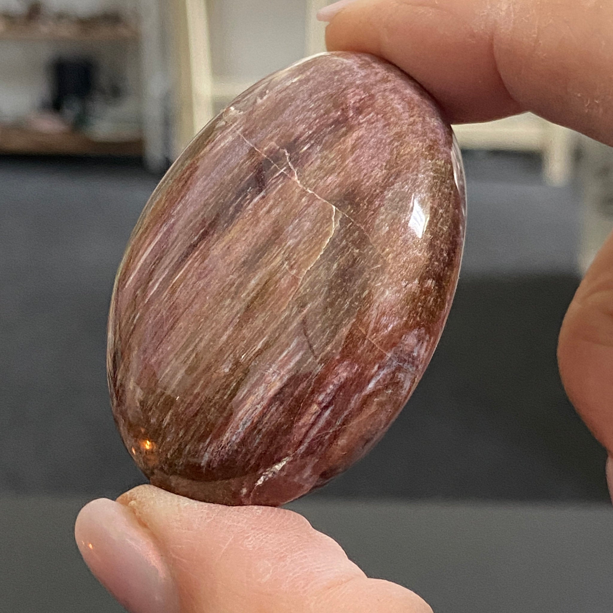 Petrified Pink Wood Palmstone