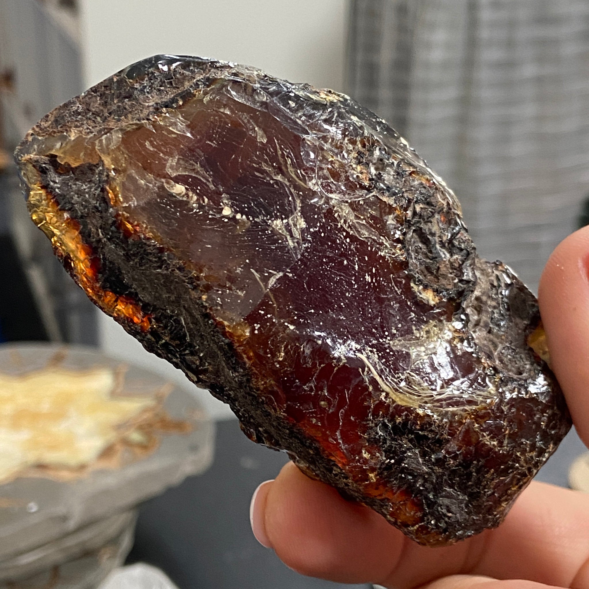 Blue Amber - Sulawesi, Indonesia