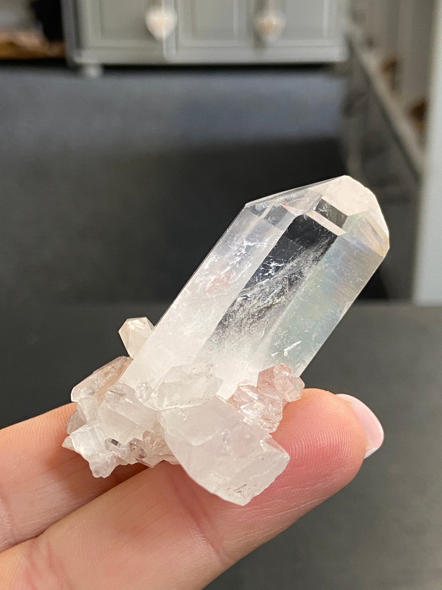 Sacred Pink Lemurian Tabby