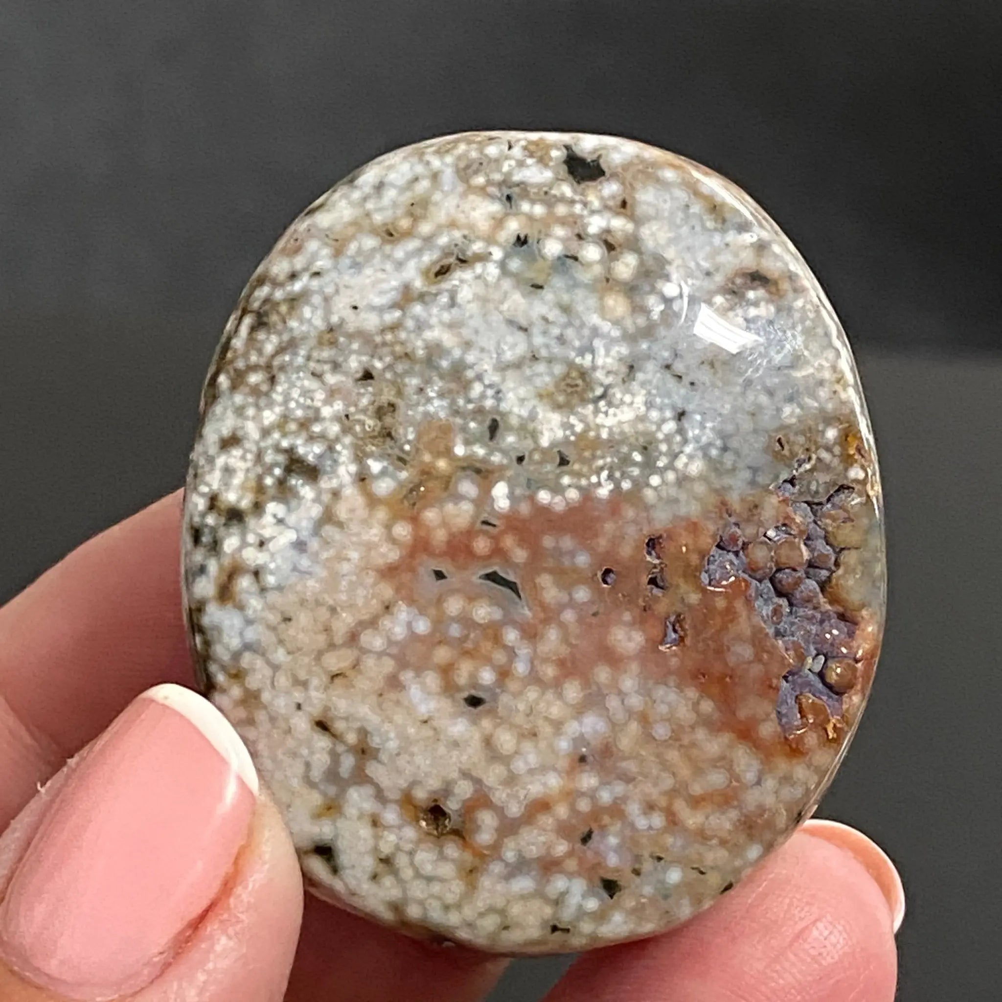 Ocean Jasper Palm Stone Castle Rocks Cornwall