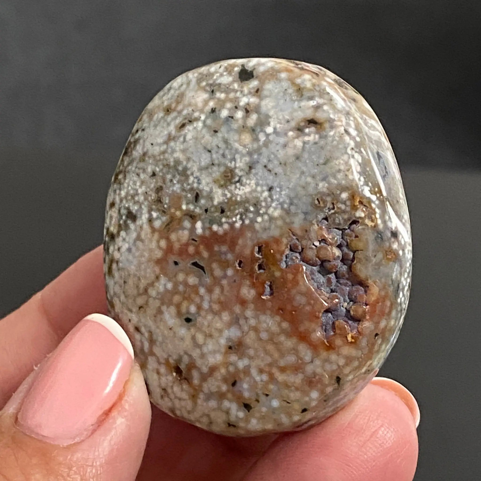 Ocean Jasper Palm Stone Castle Rocks Cornwall