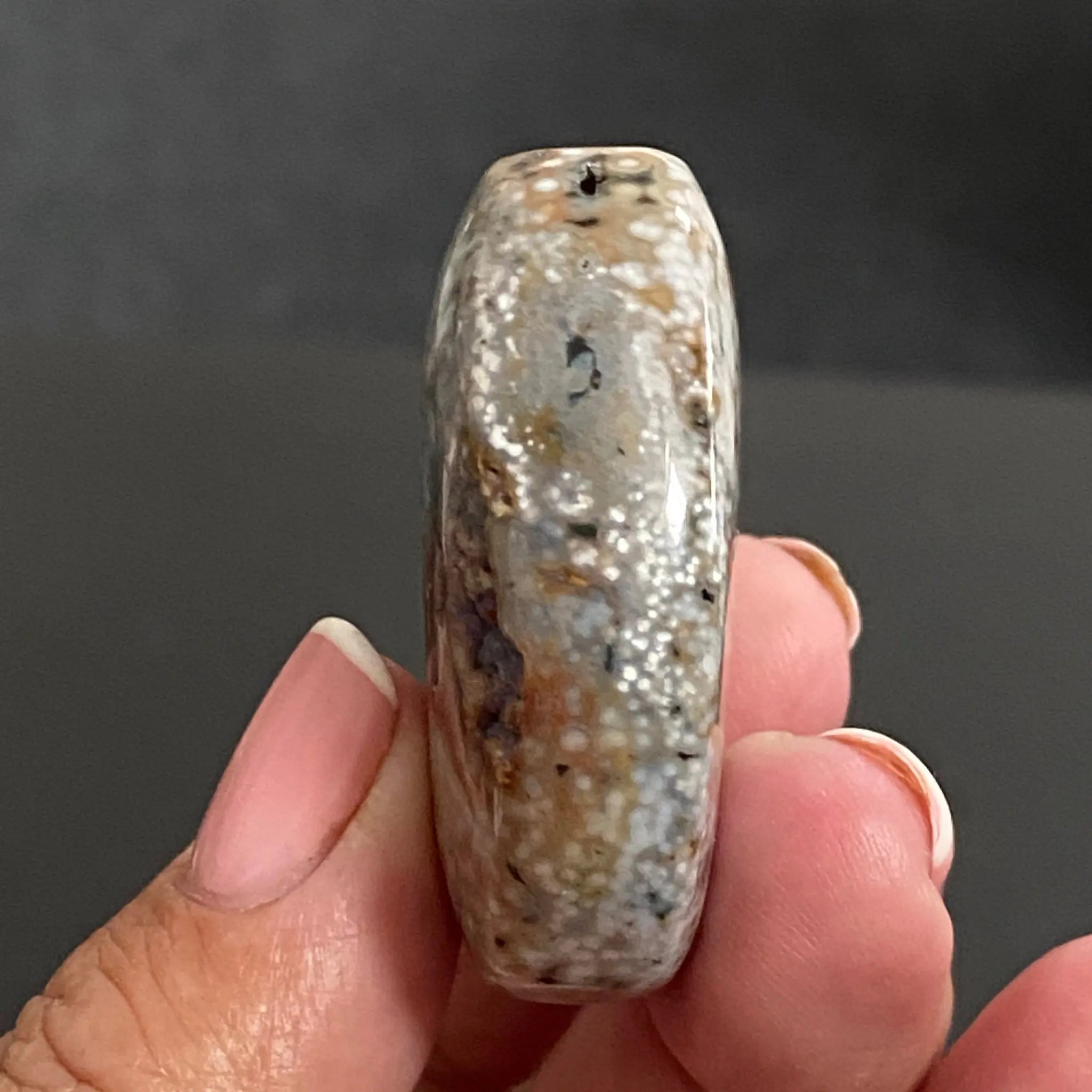 Ocean Jasper Palm Stone Castle Rocks Cornwall