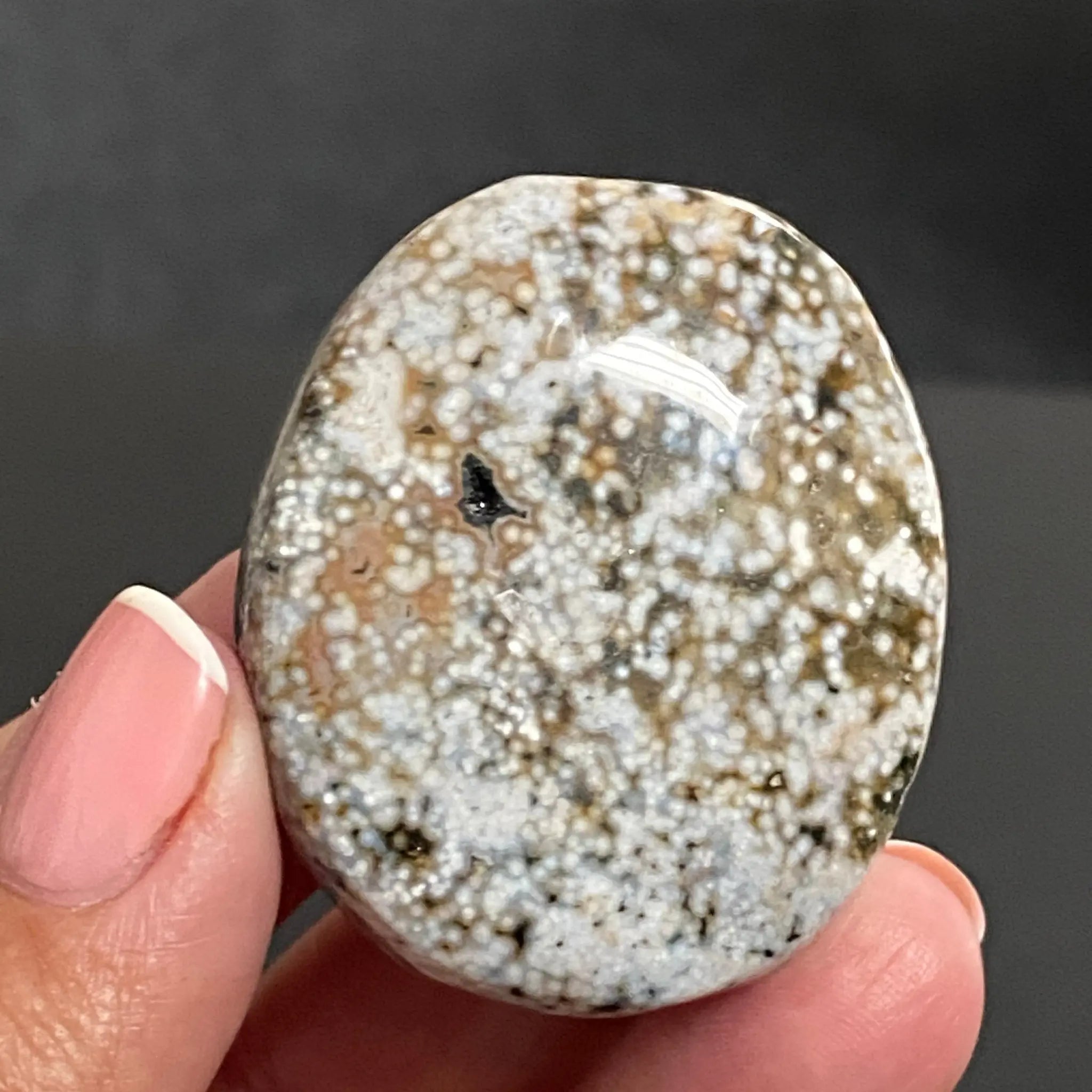 Ocean Jasper Palm Stone Castle Rocks Cornwall